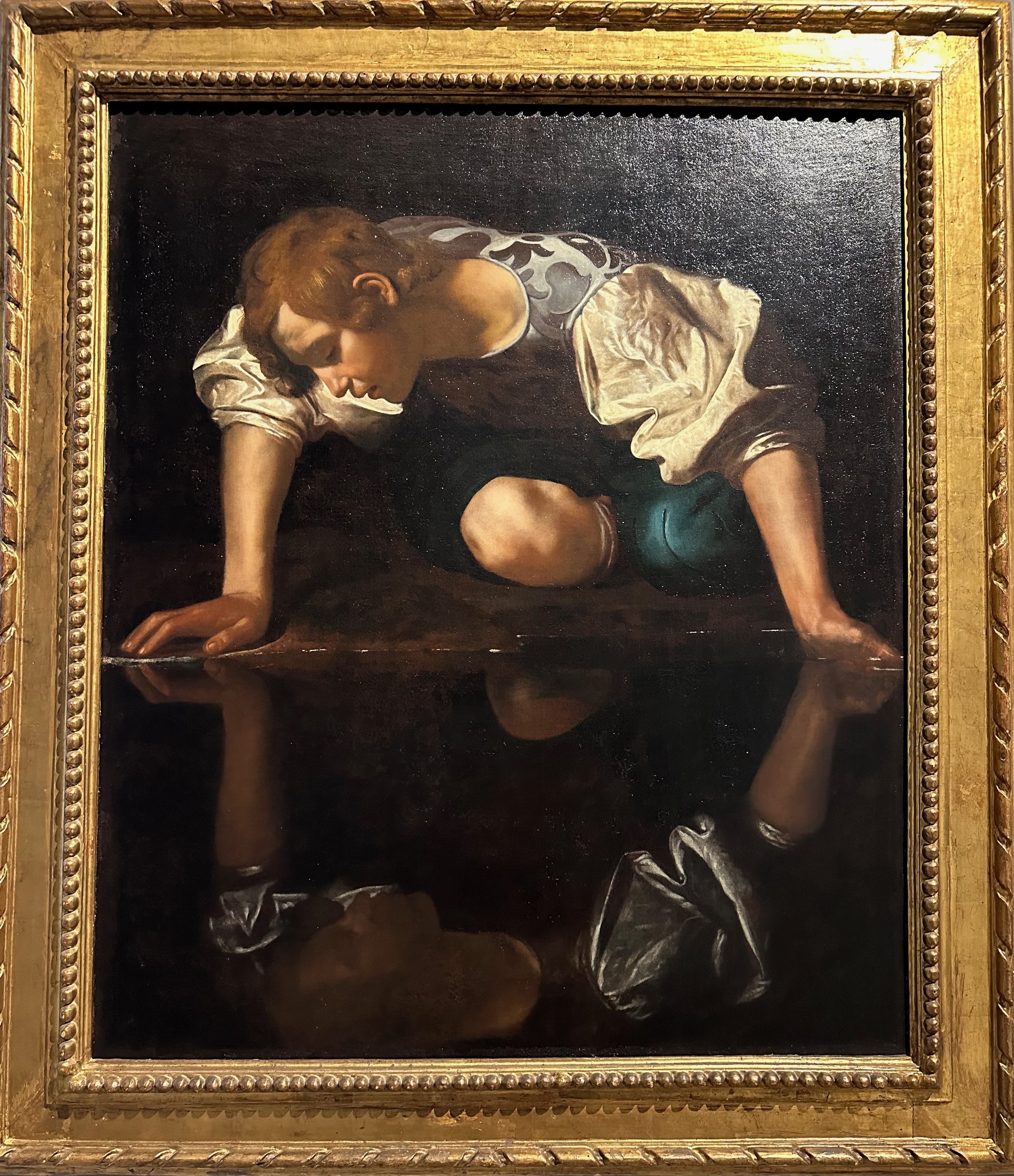 Narcissus 1599