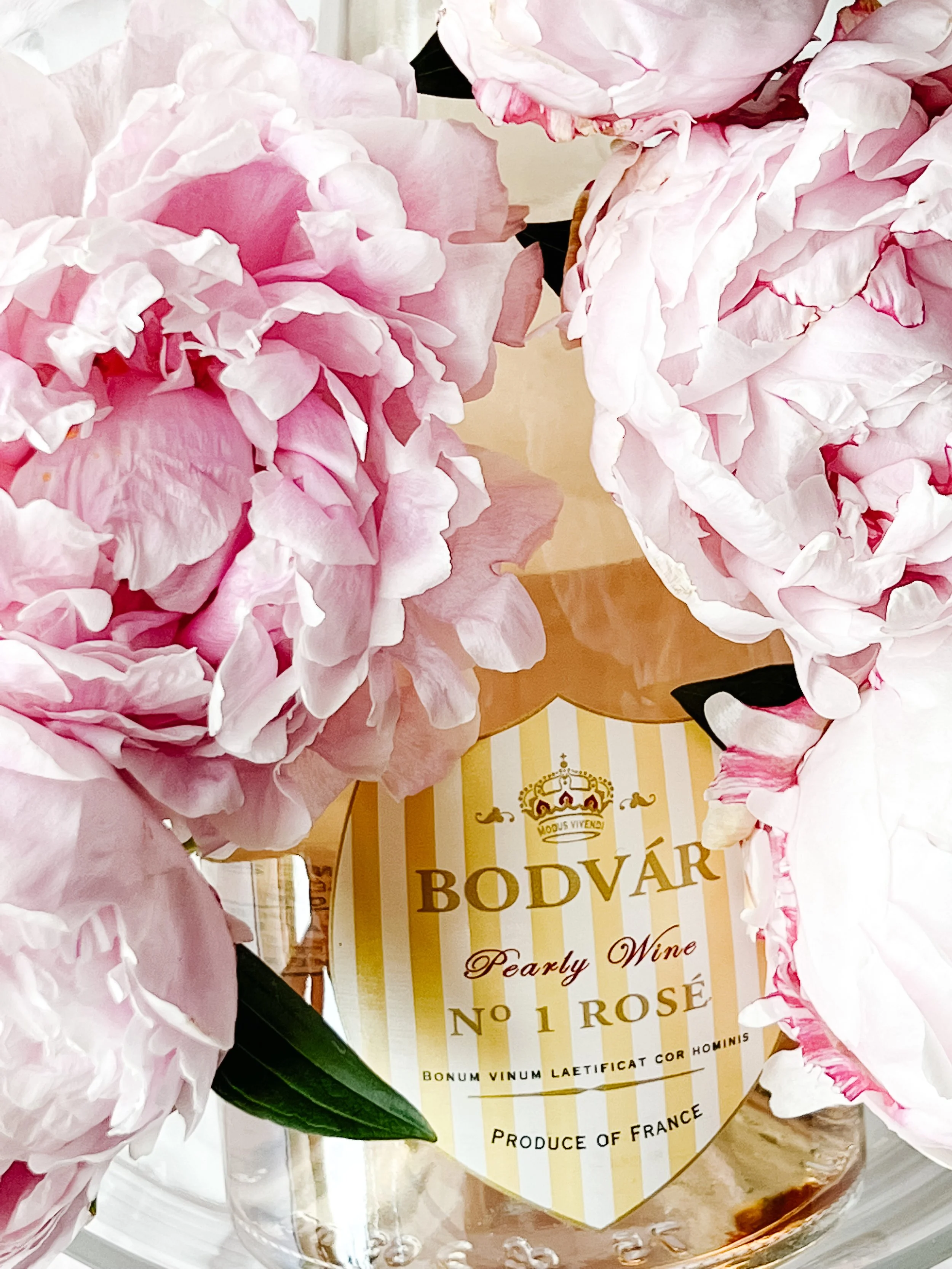 @laura_gaddo1 (1).JPG