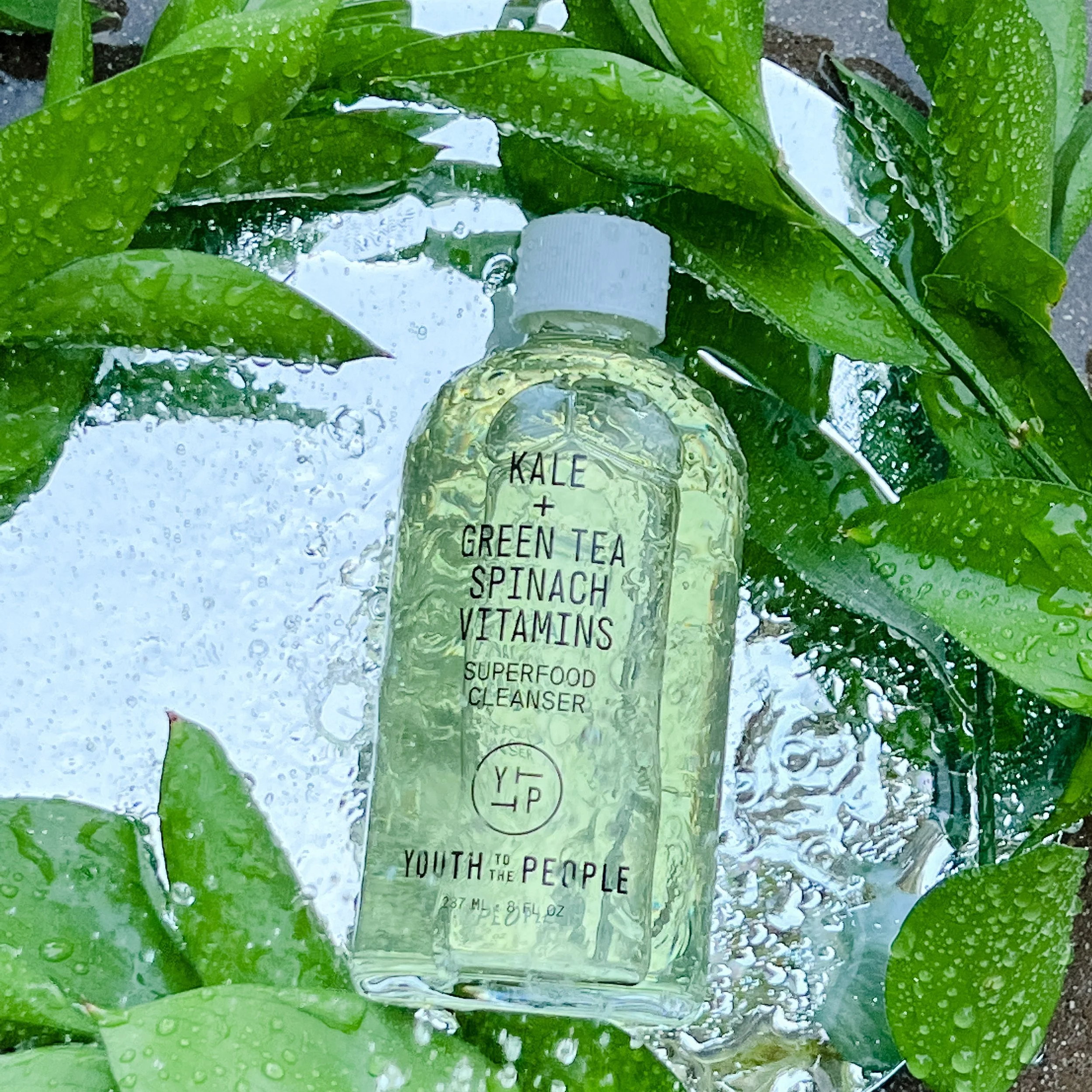 @laura_gaddo (5).JPG