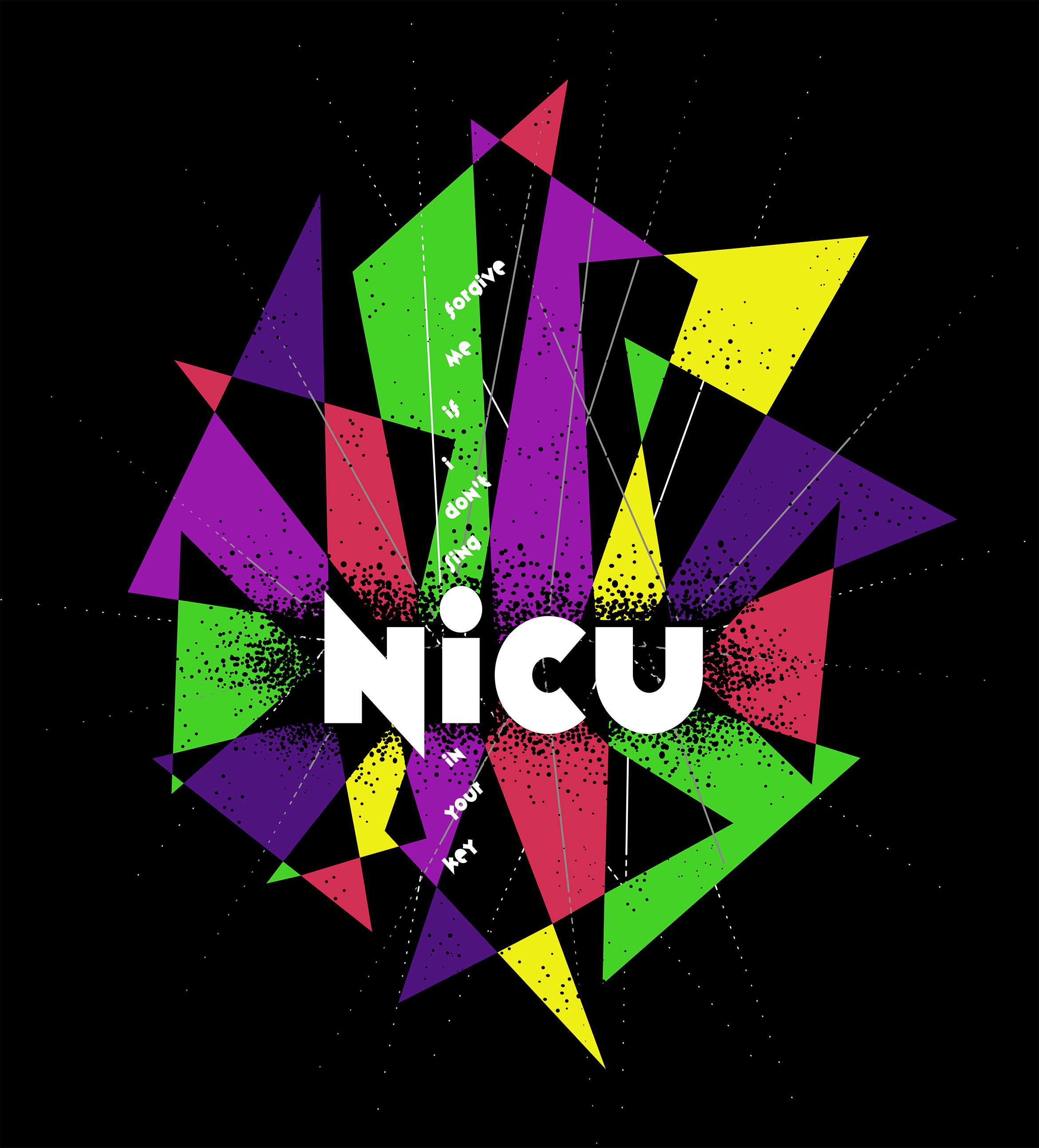 Phish_NICU_promo2.png