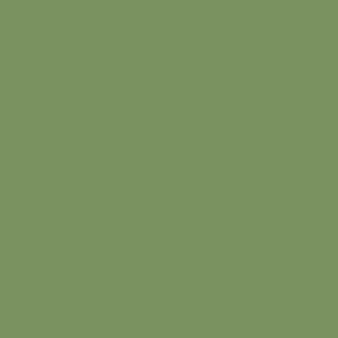 P2PSBC_pallette_drkrGreen.jpg