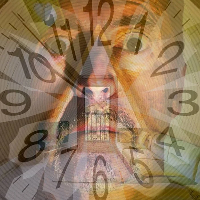 Mid Century Modern Album Cover.JPG