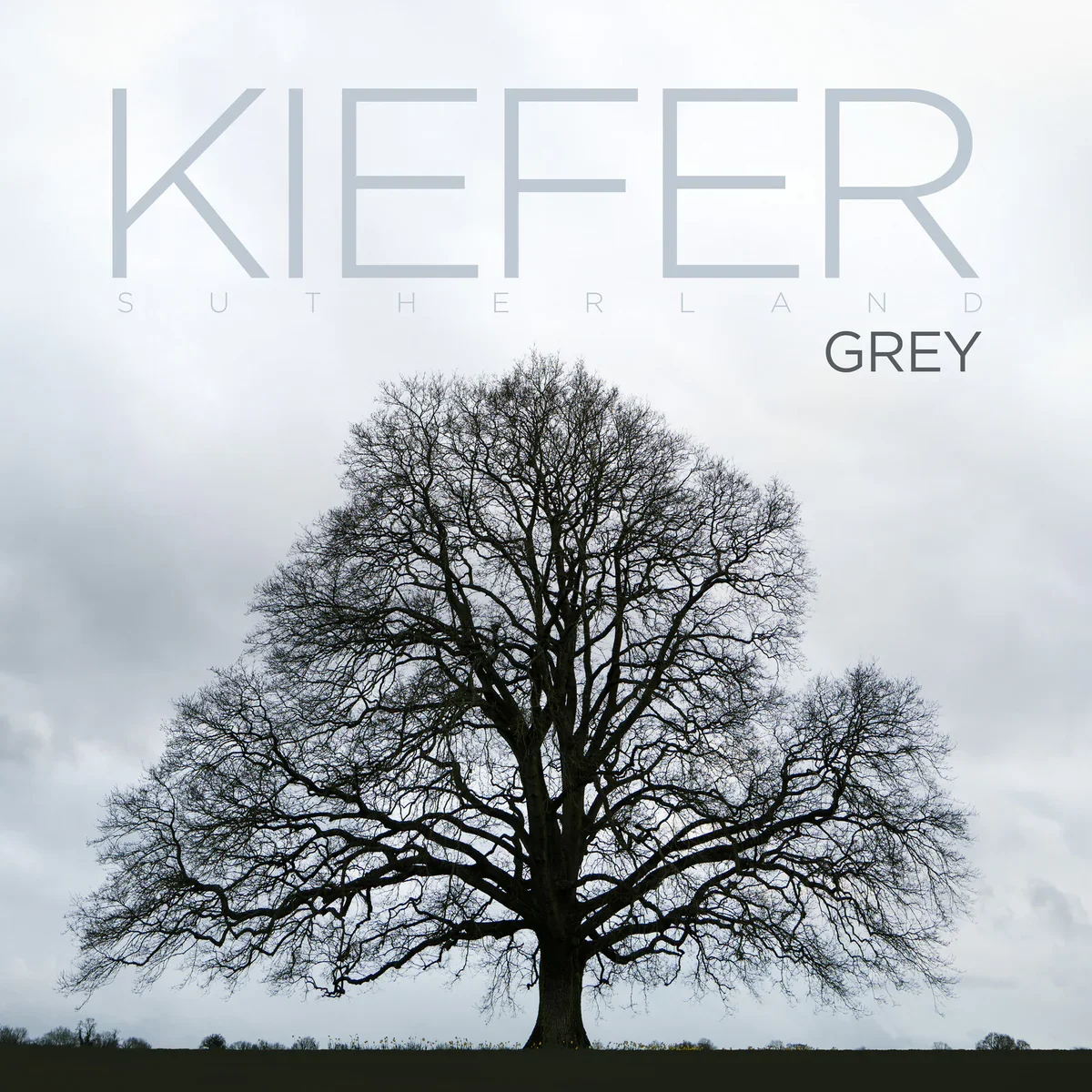 Kiefer Sutherland Grey May 29, 2026.webp
