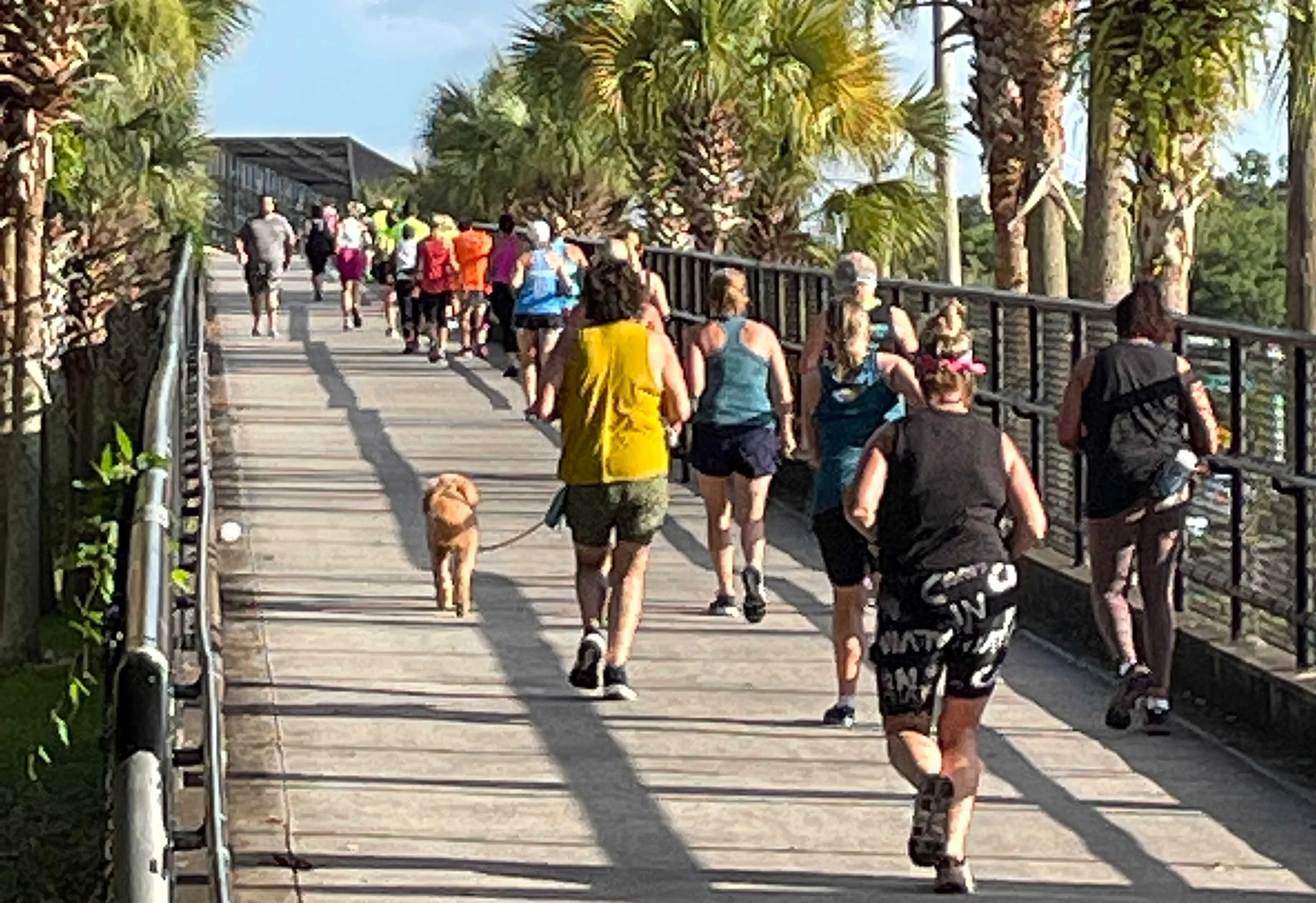 Run Tampa group run: Upper Tampa Bay Trail pedestrian overpass over Gun Highway.