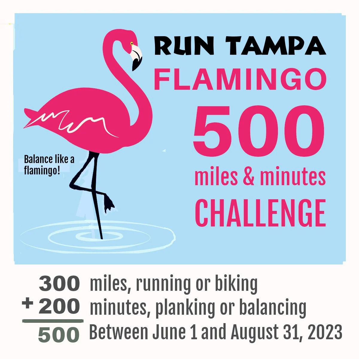 Flamingo 500 Challenge