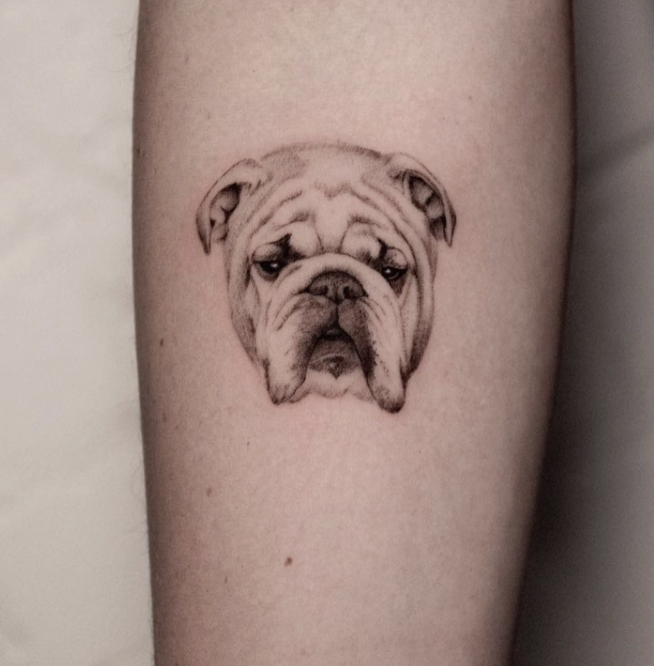 Microrealism Animal Tattoos in Durham, NC by Brian Parrillo