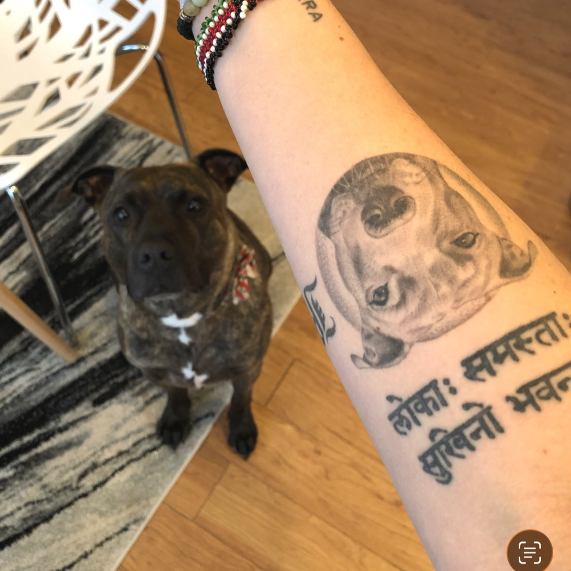 (CLIENT PHOTO) Healed (~1 year) black and grey tattoo portrait of a pit bull, with the subject himself!