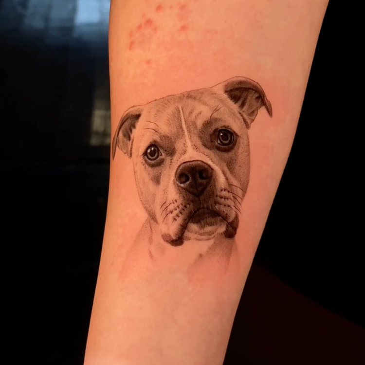 Realistic black and grey dog portrait tattoo on the inner forearm by Brian Parrillo, Durham NC