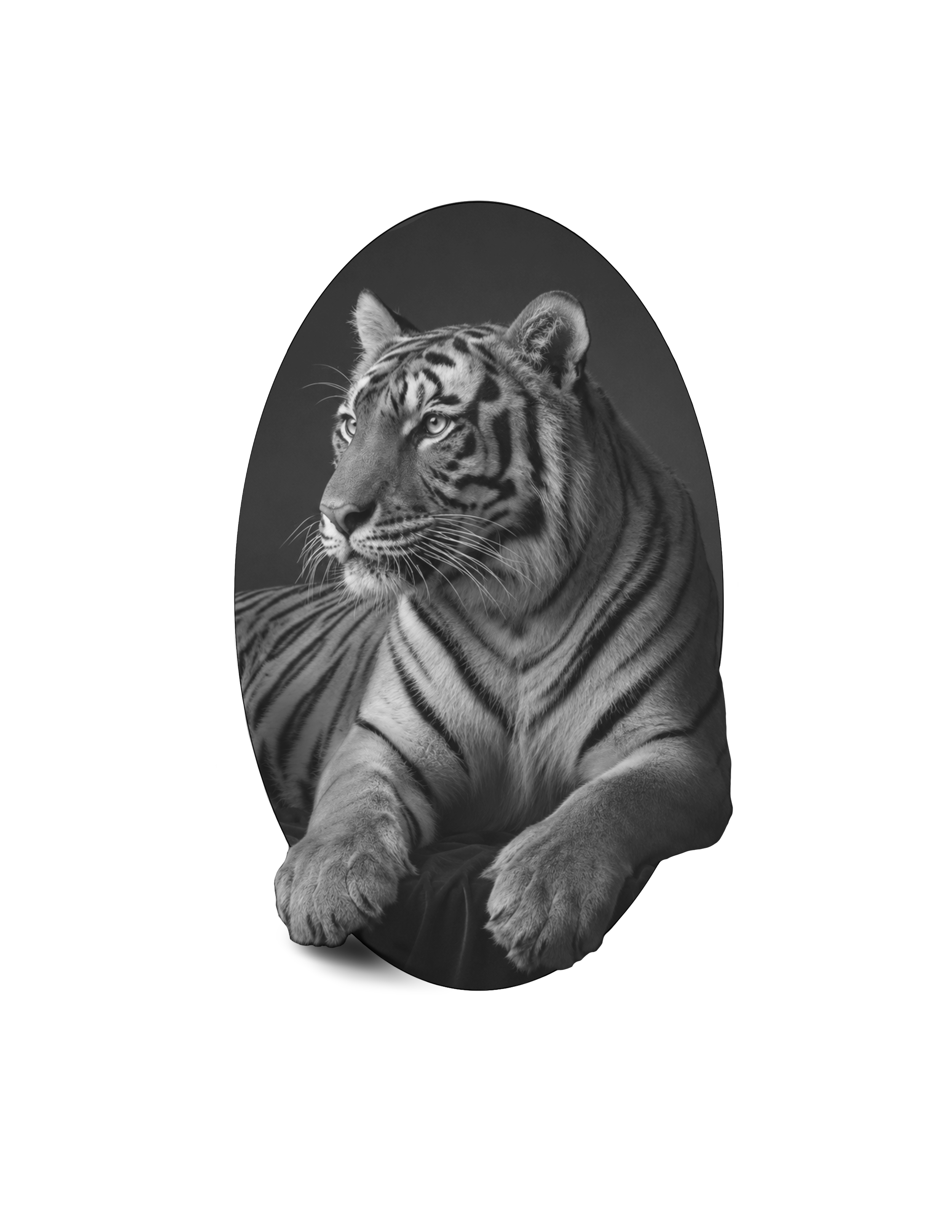 DESIGN 03