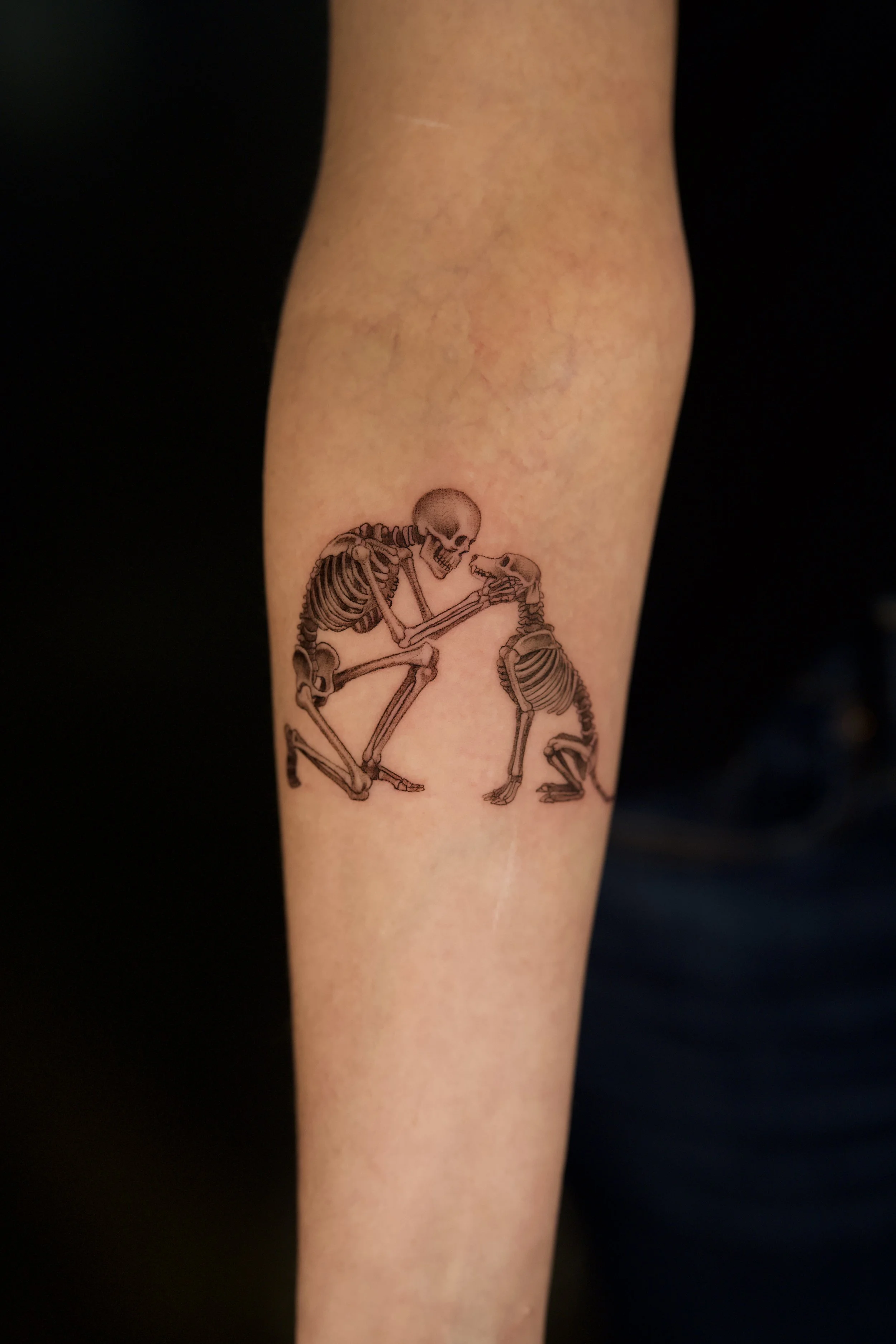Fine line black and grey tattoo of a human skeleton and dog skeleton facing each other on forearm by Brian Parrillo Durham NC