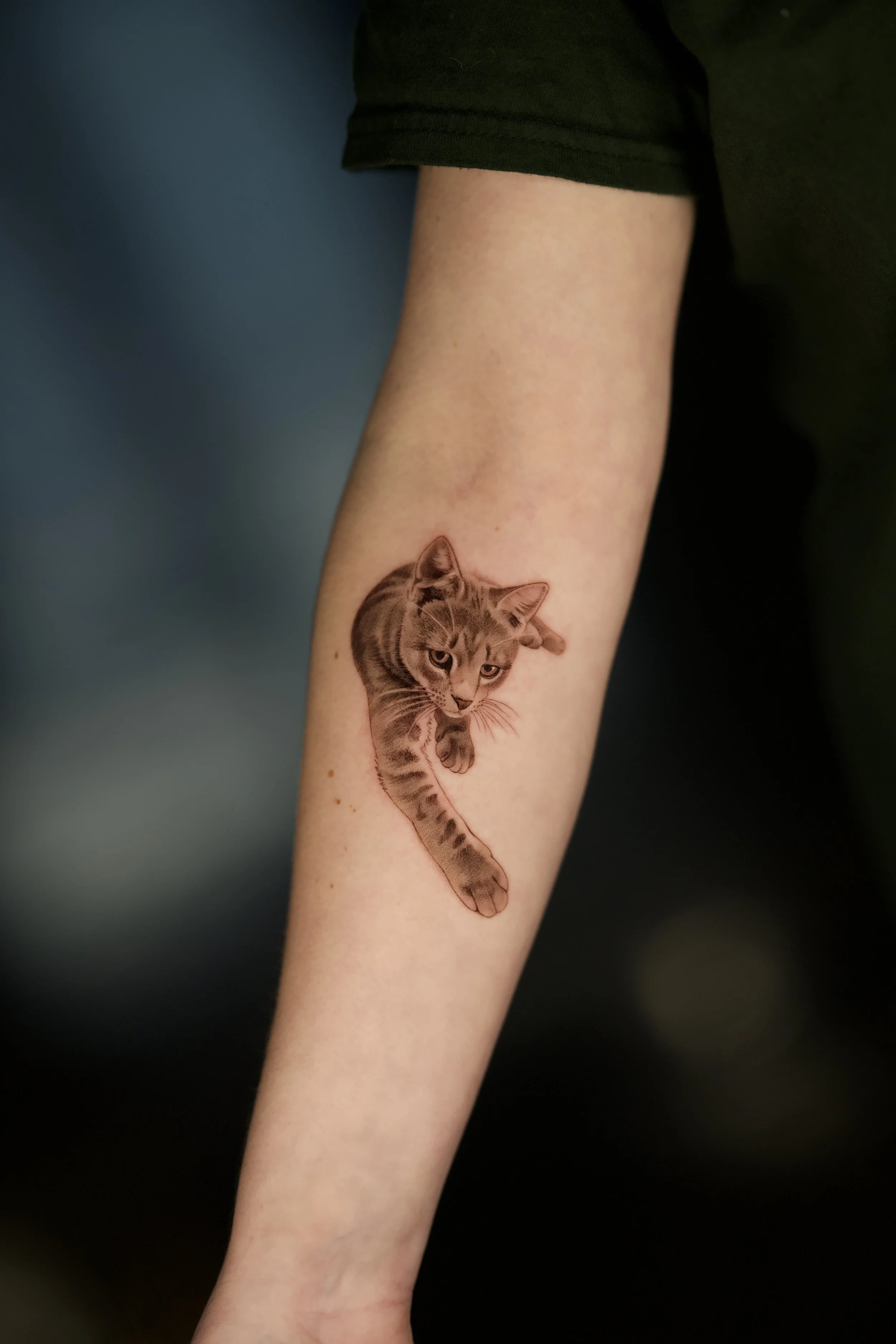 Black and grey tattoo of a cat (full body) on inner forearm.