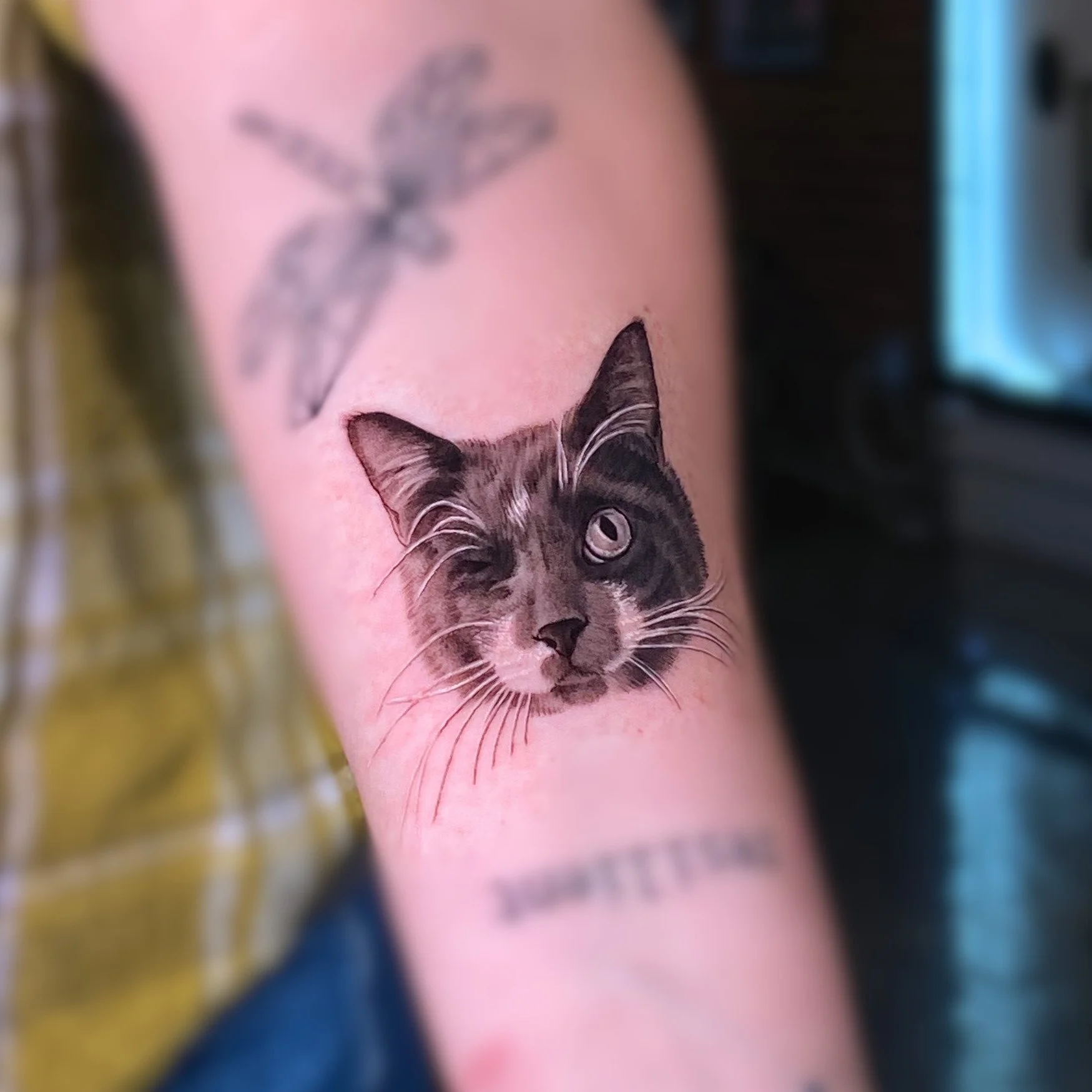 Black and grey tattoo of a realistic (one-eyed!) cat face on inner forearm.