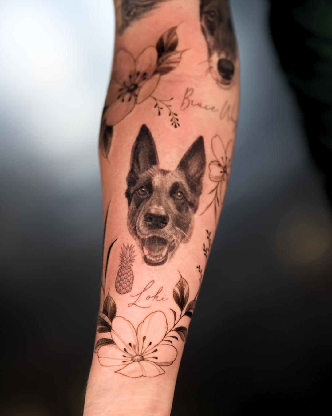 HEALED: Black and grey German Shepherd portrait tattoo surrounded by soft botanical elements and script. Portrait healed, flowers fresh.