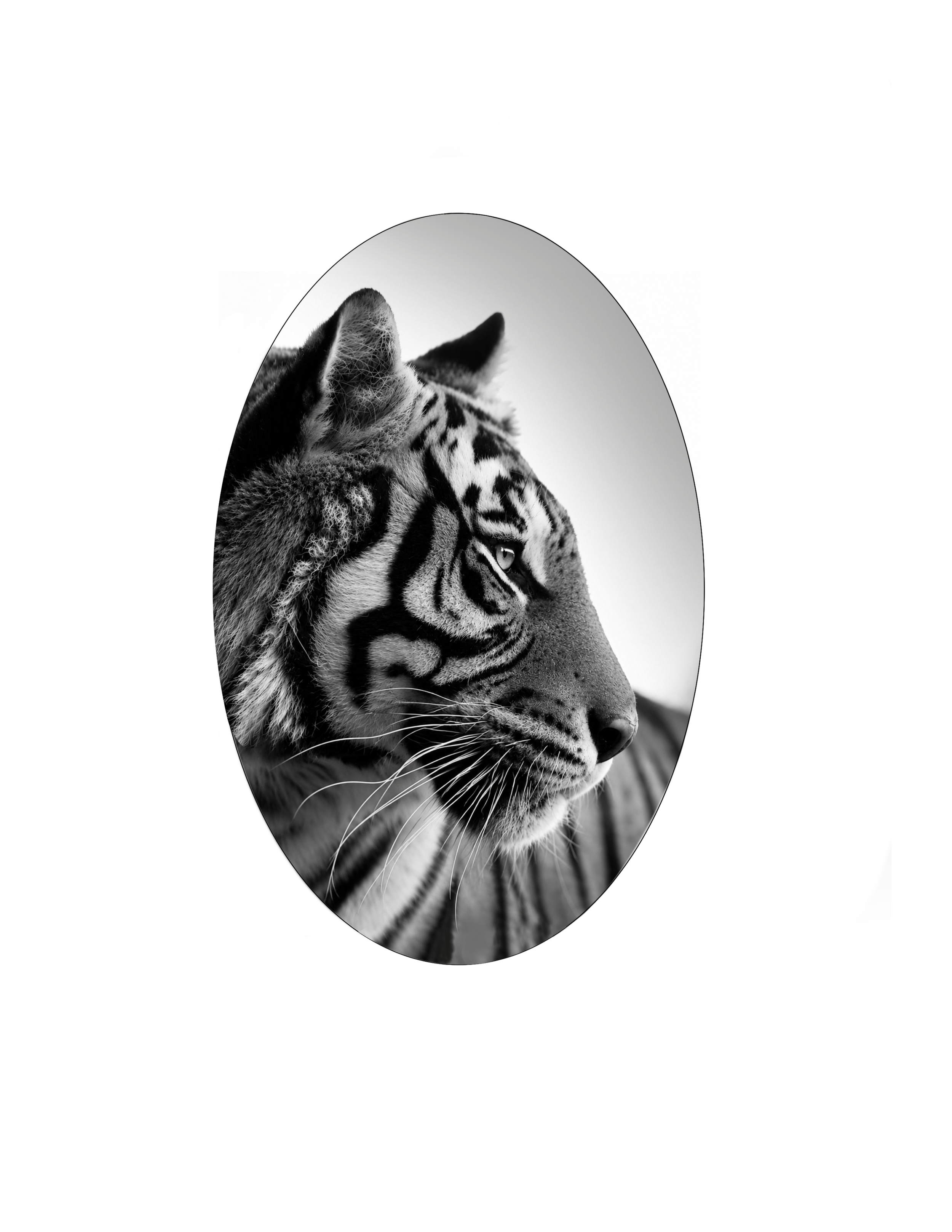DESIGN 02
