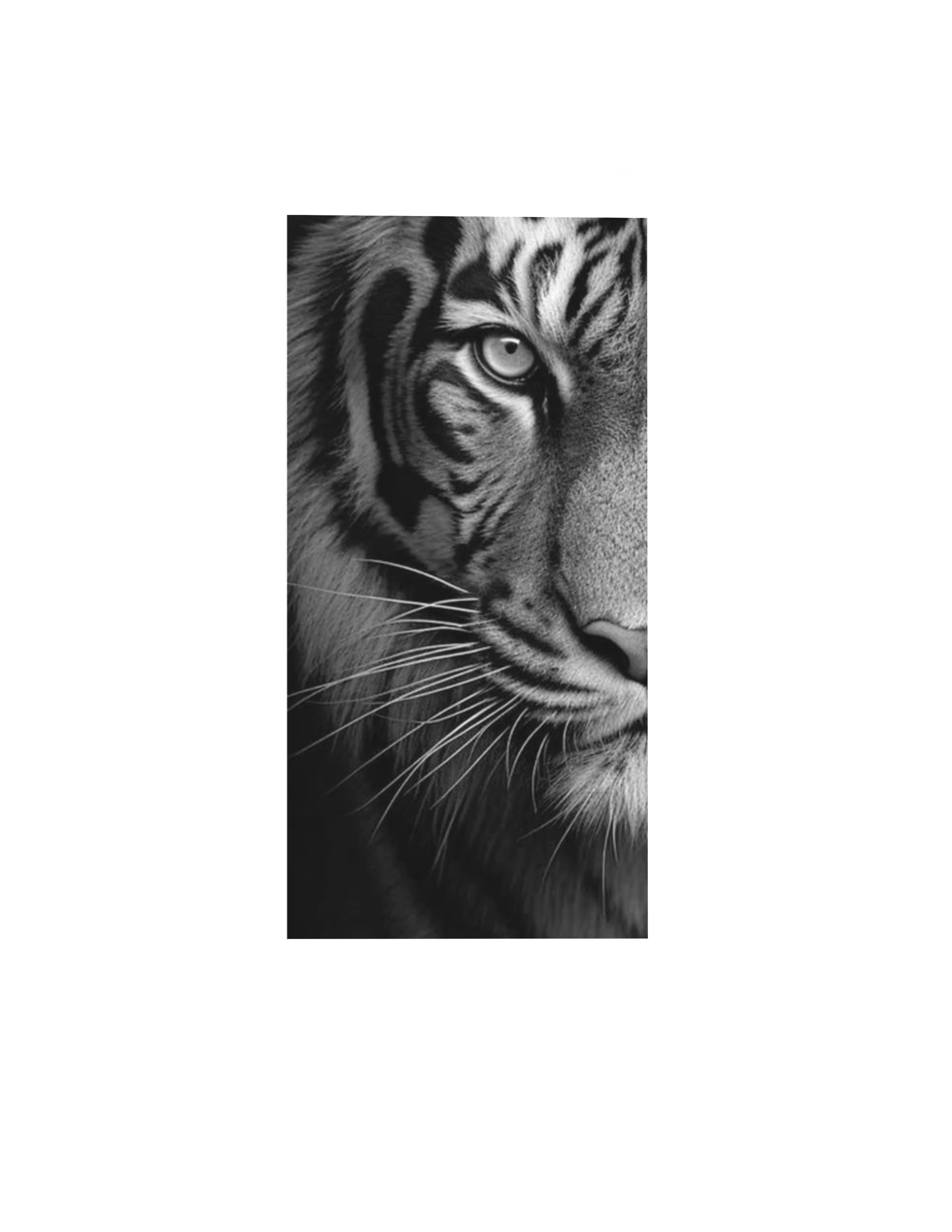 DESIGN 04