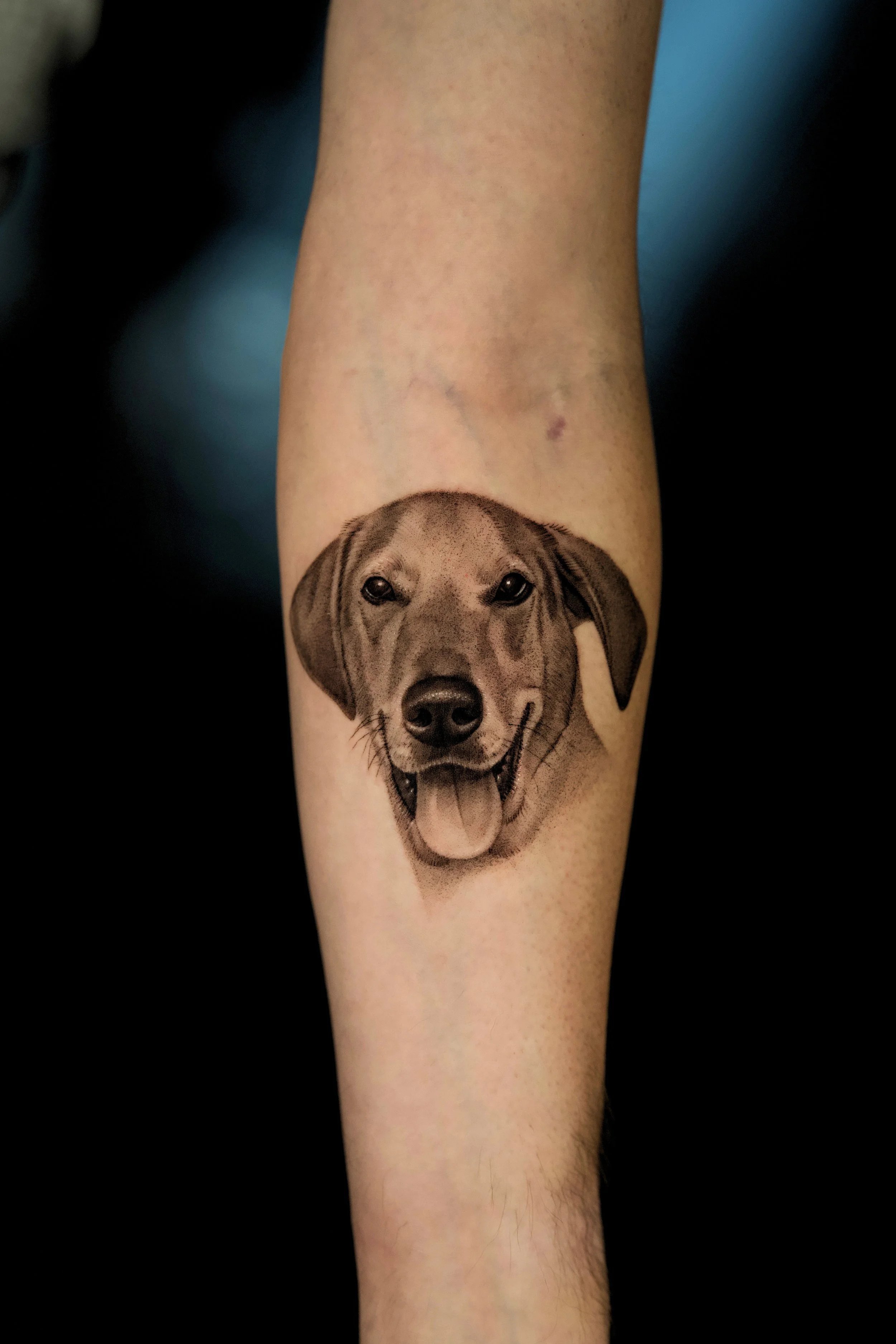 Black and grey tattoo of a happy hound dog's face on inner forearm.