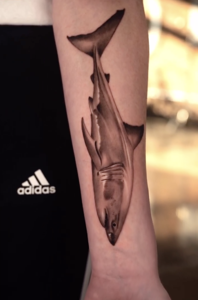 Custom realism shark tattoo Durham, NC fine line animal portrait, animal tattoo sleeve realism, memorial pet tattoo portrait