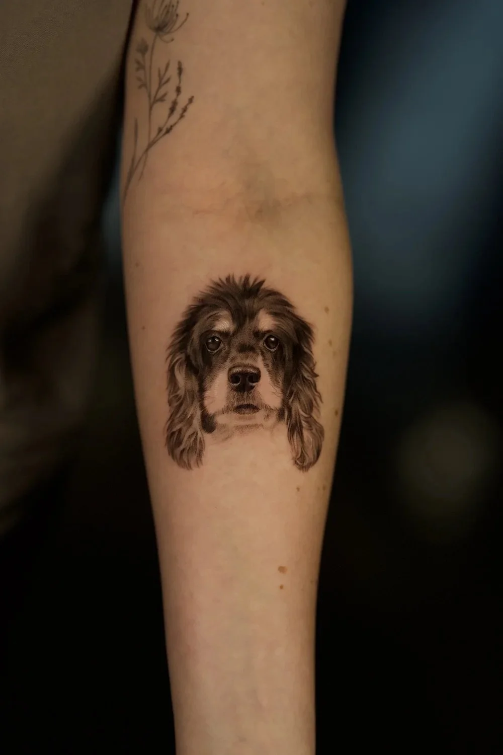 Black and grey realism tattoo of a dog by Brian Parrillo Durham NC