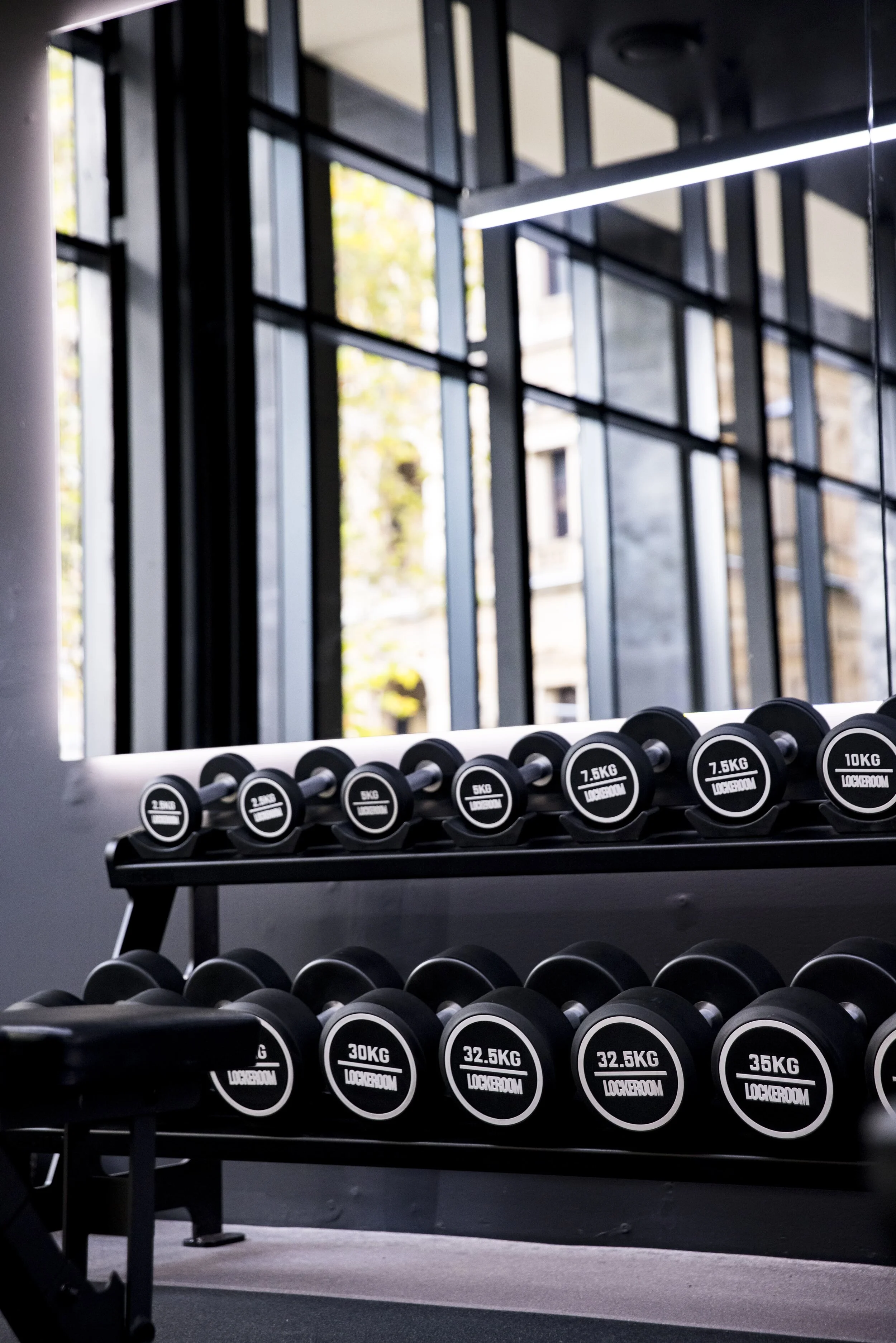 Custom Dumbbells