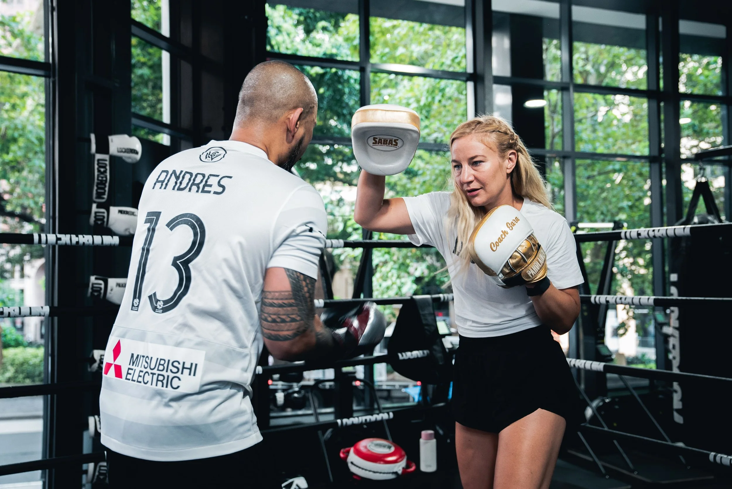 Professional Coaches