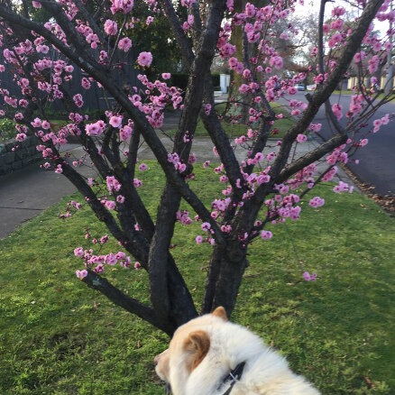 Unpacking the $20 note