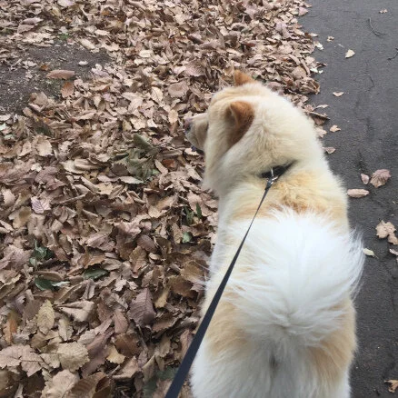 A conscious decision