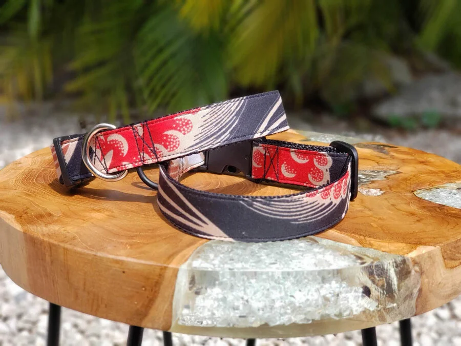 Photo: @shopdogenvie