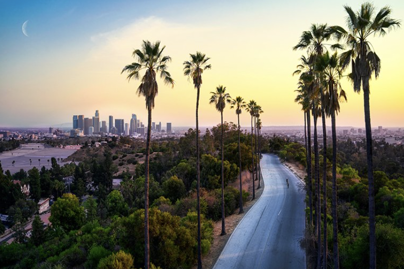 Art Galleries in Los Angeles