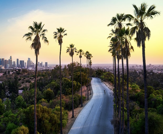 Black-owned Art Galleries in LA