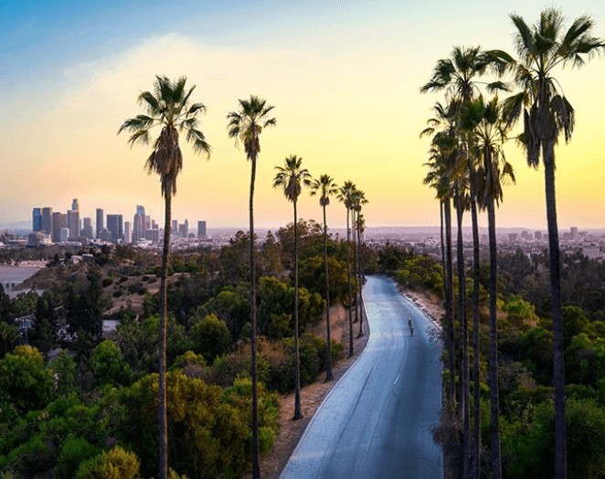 Black-owned Art Galleries