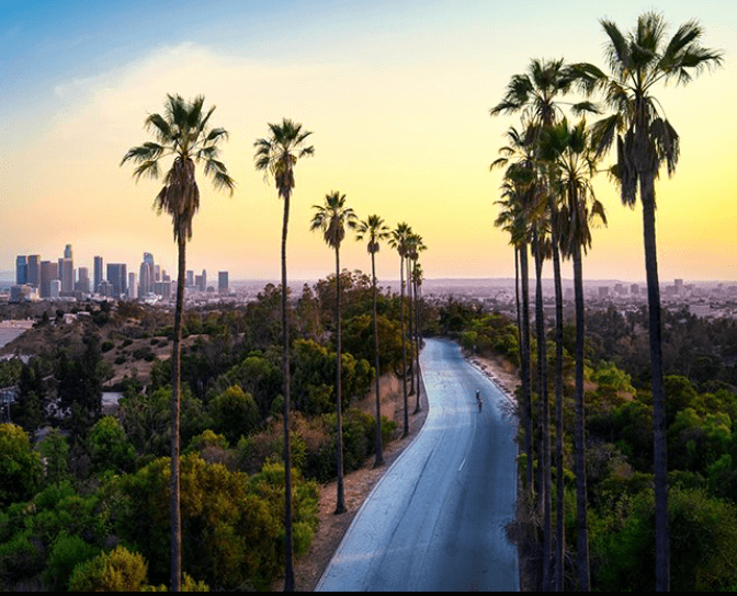 Black-owned Art Galleries in LA