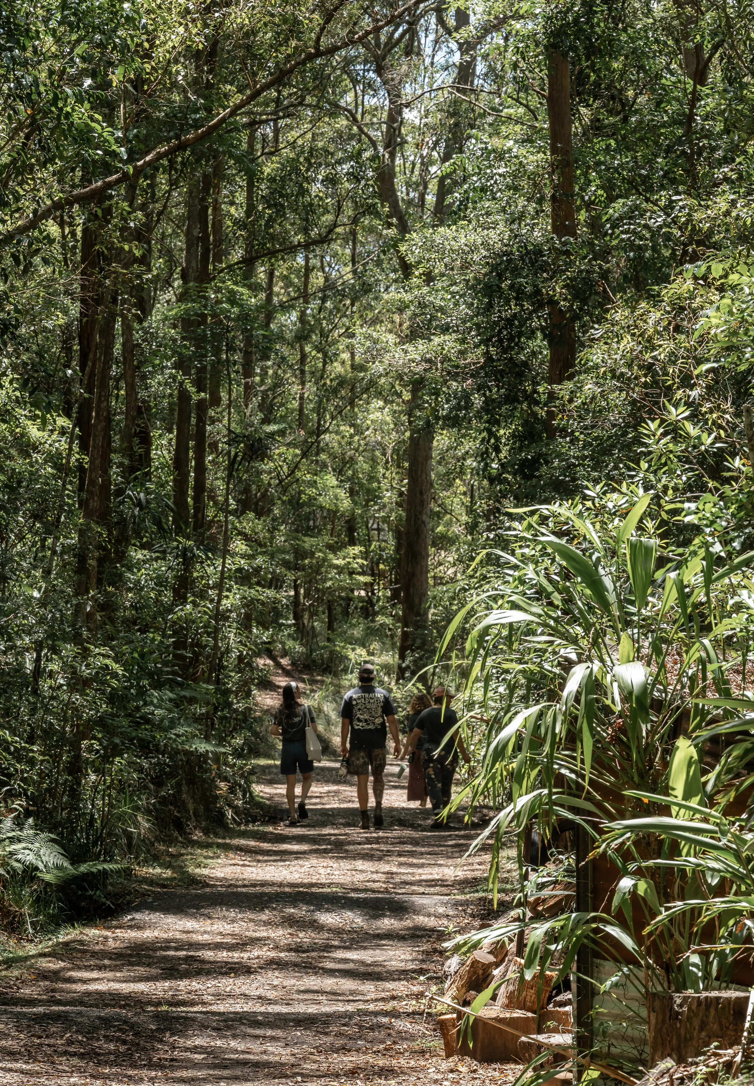 People walking on a dirt trail / track through a lush green forest with tall trees and dense foliage.