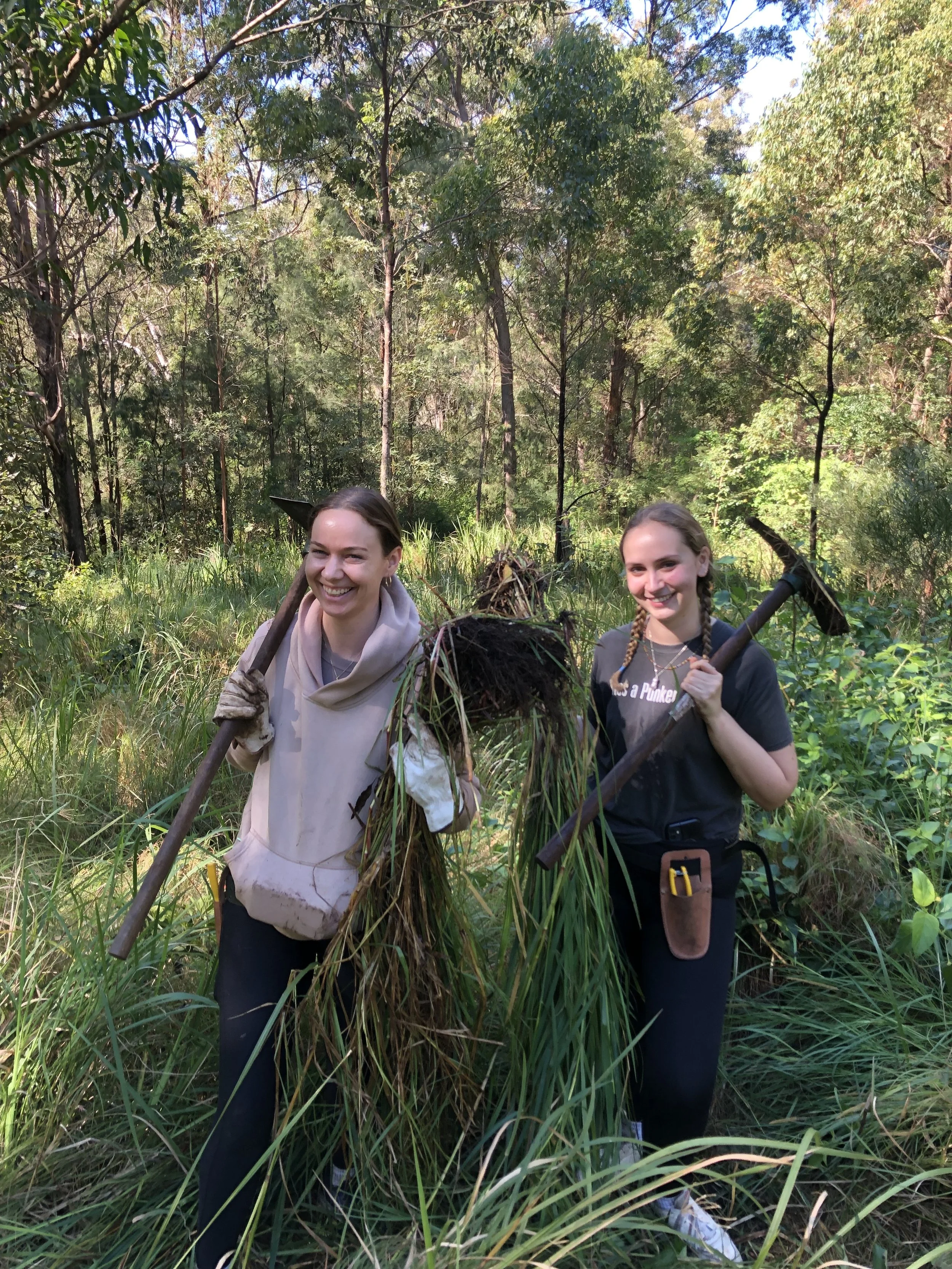 volunteer landcare environment south east qld near brisbane