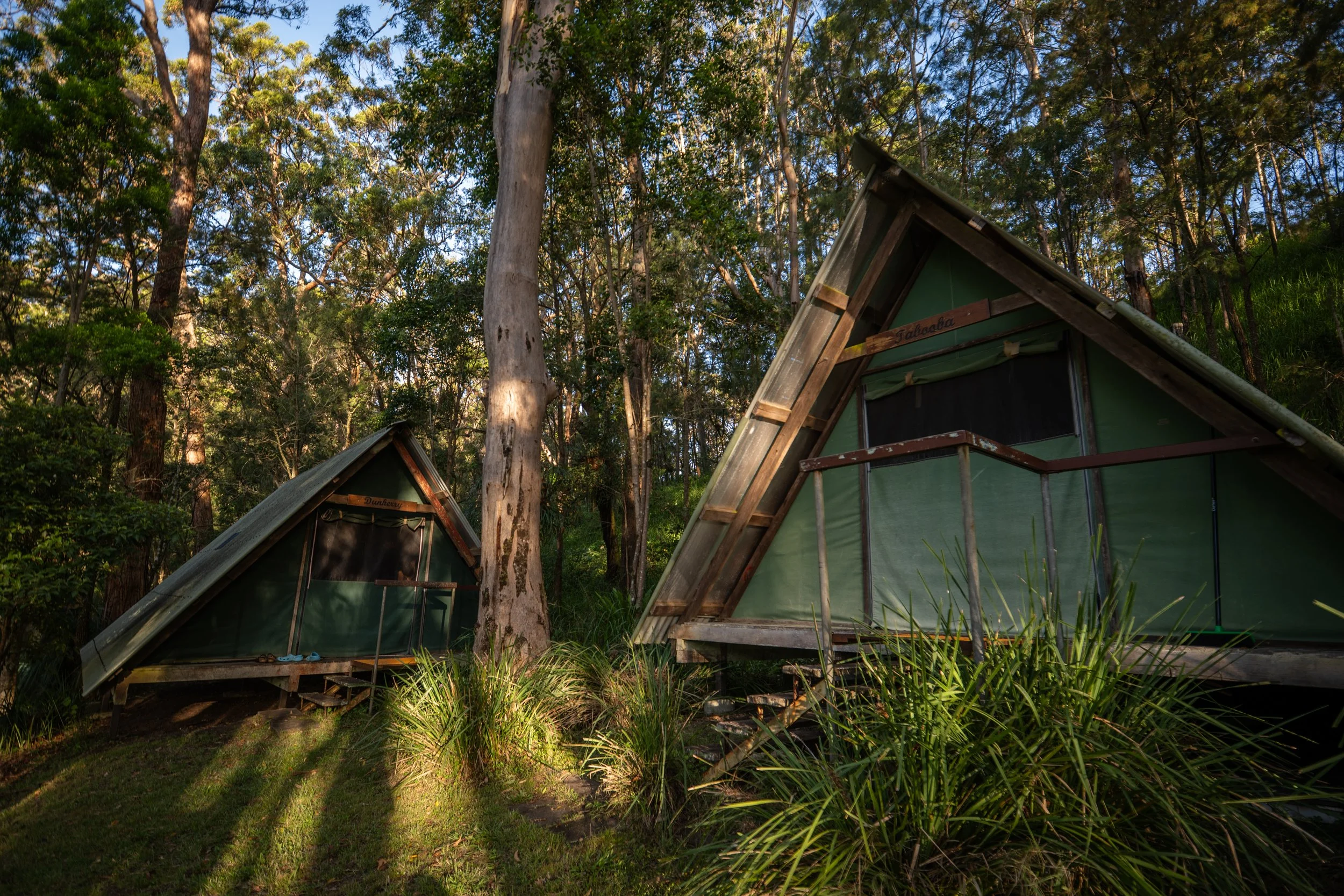 Two small A-frame tents with green fabric walls and wooden frames are set among tall trees and lush greenery in a forest, illuminated by sunlight.