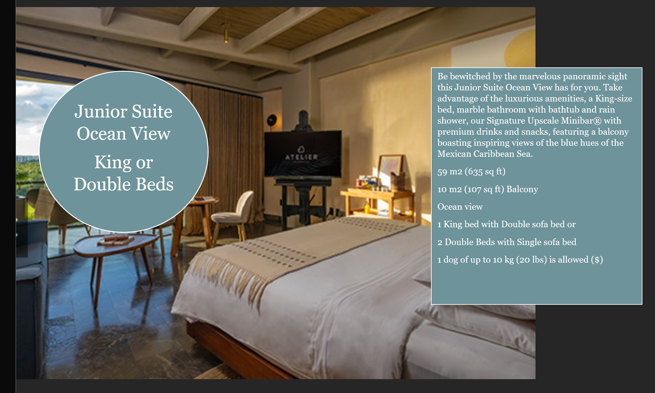 junior Suite Ocean View.png
