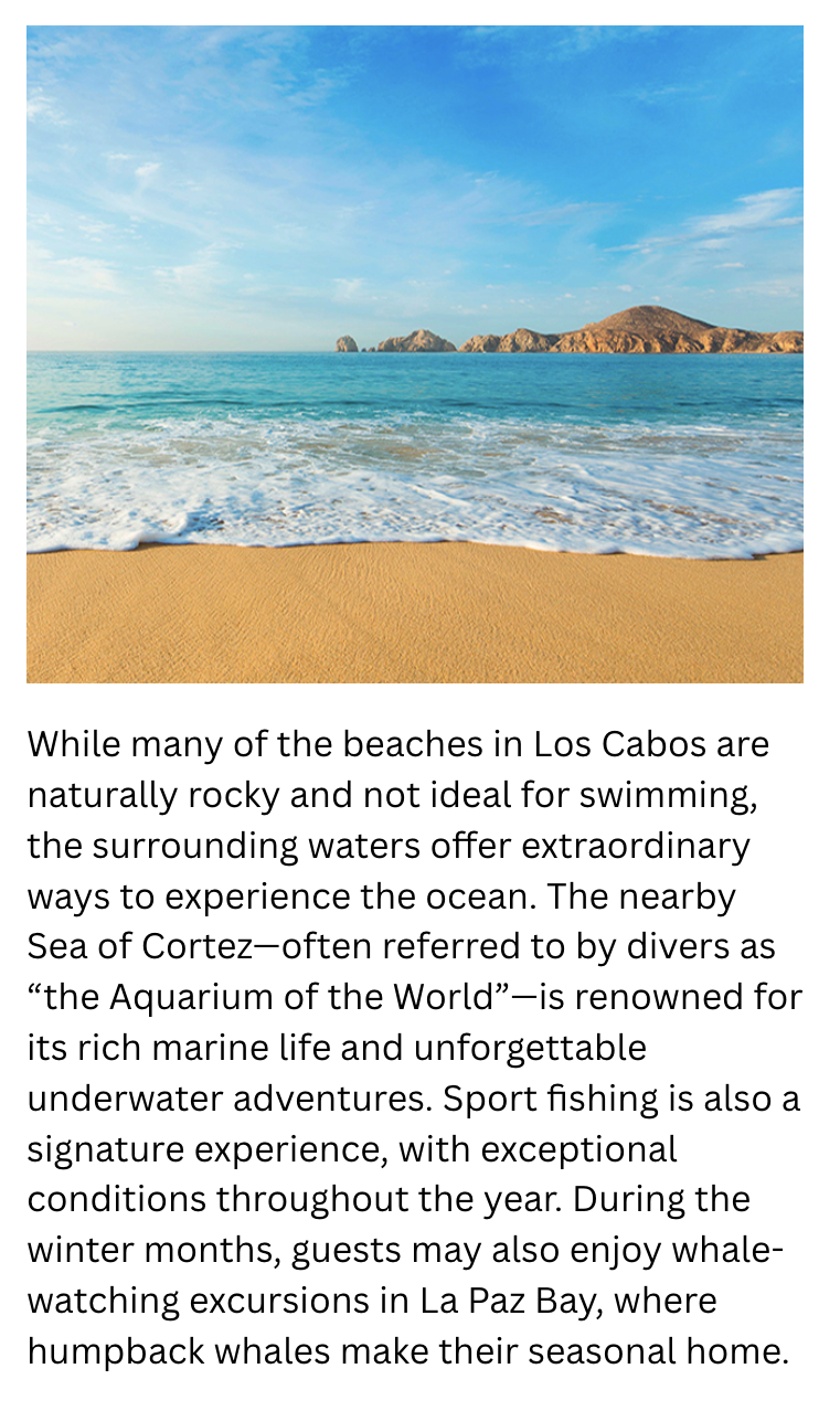 Screenshot 2026-01-20 at 12.11.23 PM.png