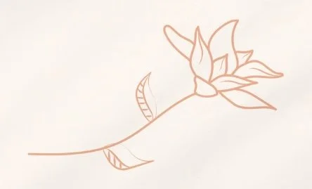 Pink Red Simple Elegant Wine Bar Cocktail Drinks Menu.jpeg