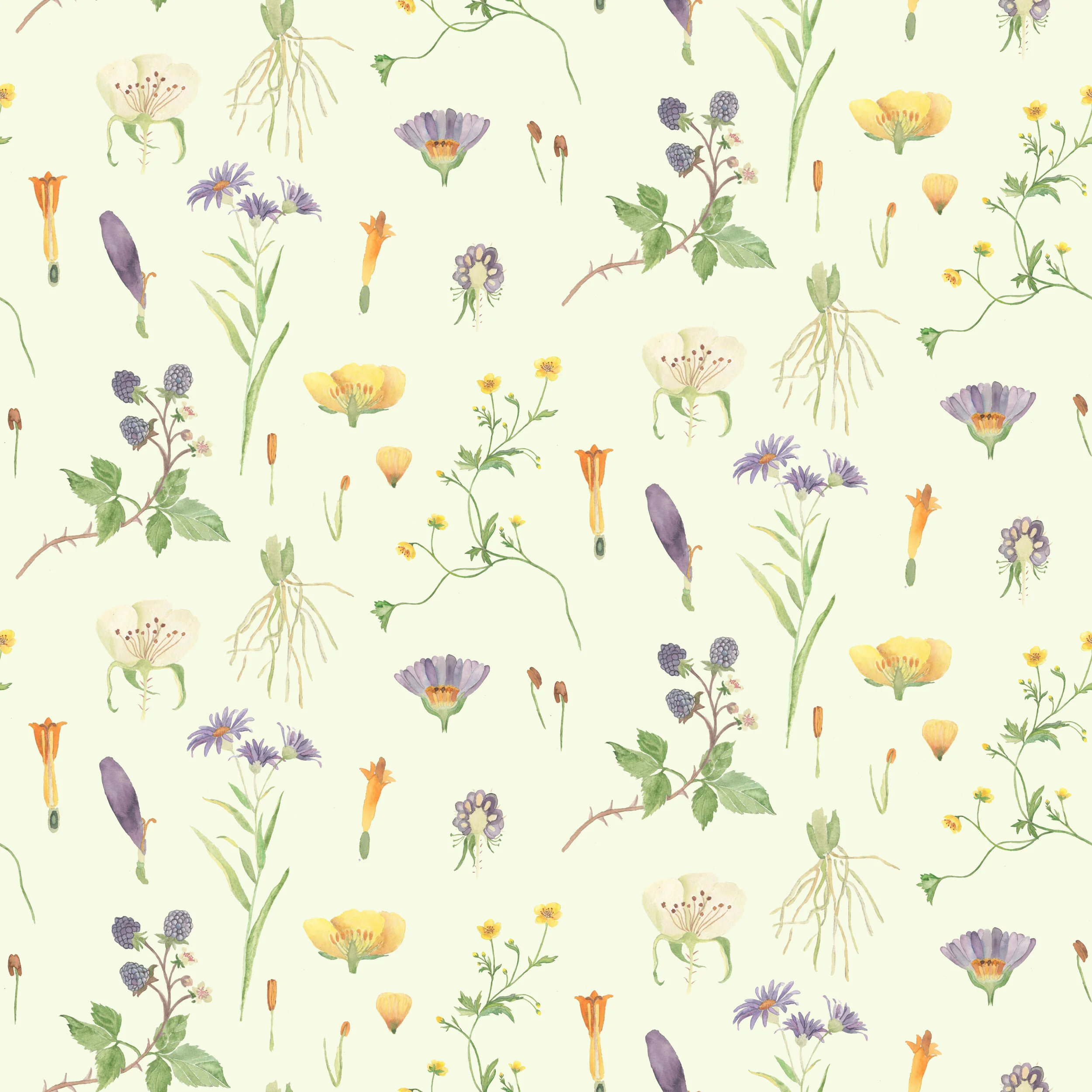 12 | Botanical Coordinate.jpg