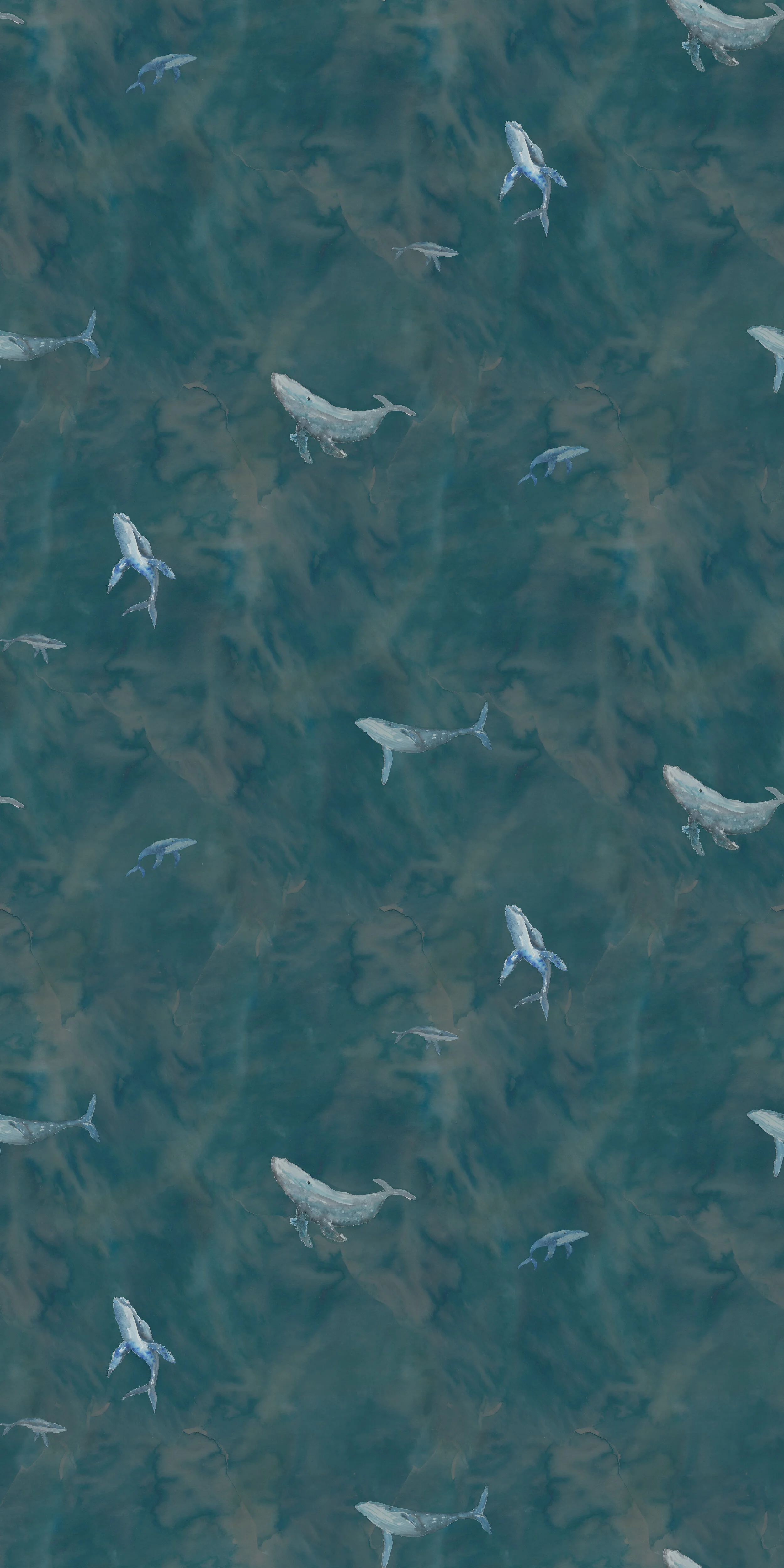 Whale Main.jpg