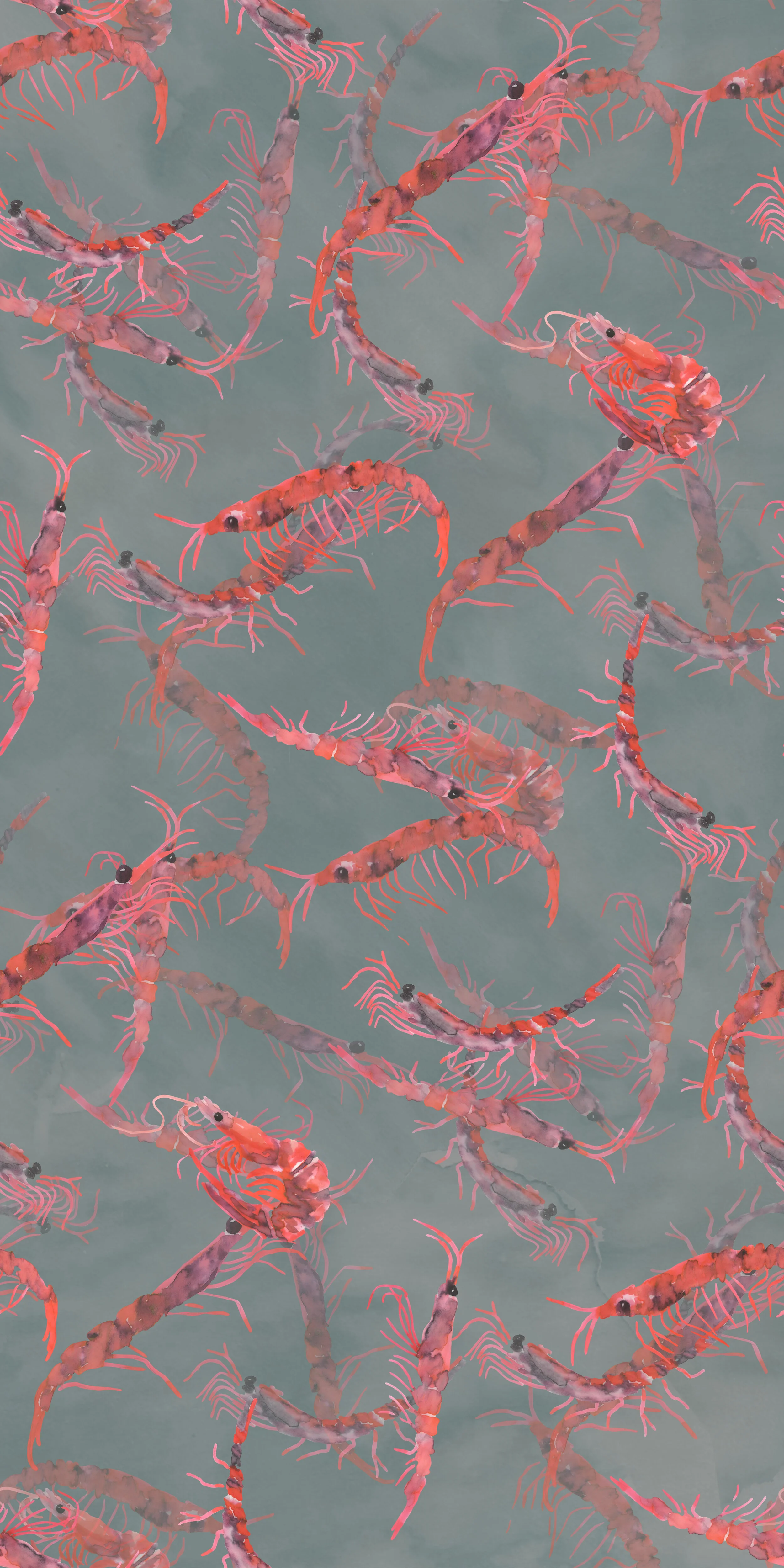 W | Krill Coordinate 13.5%22 x 27%22.jpg
