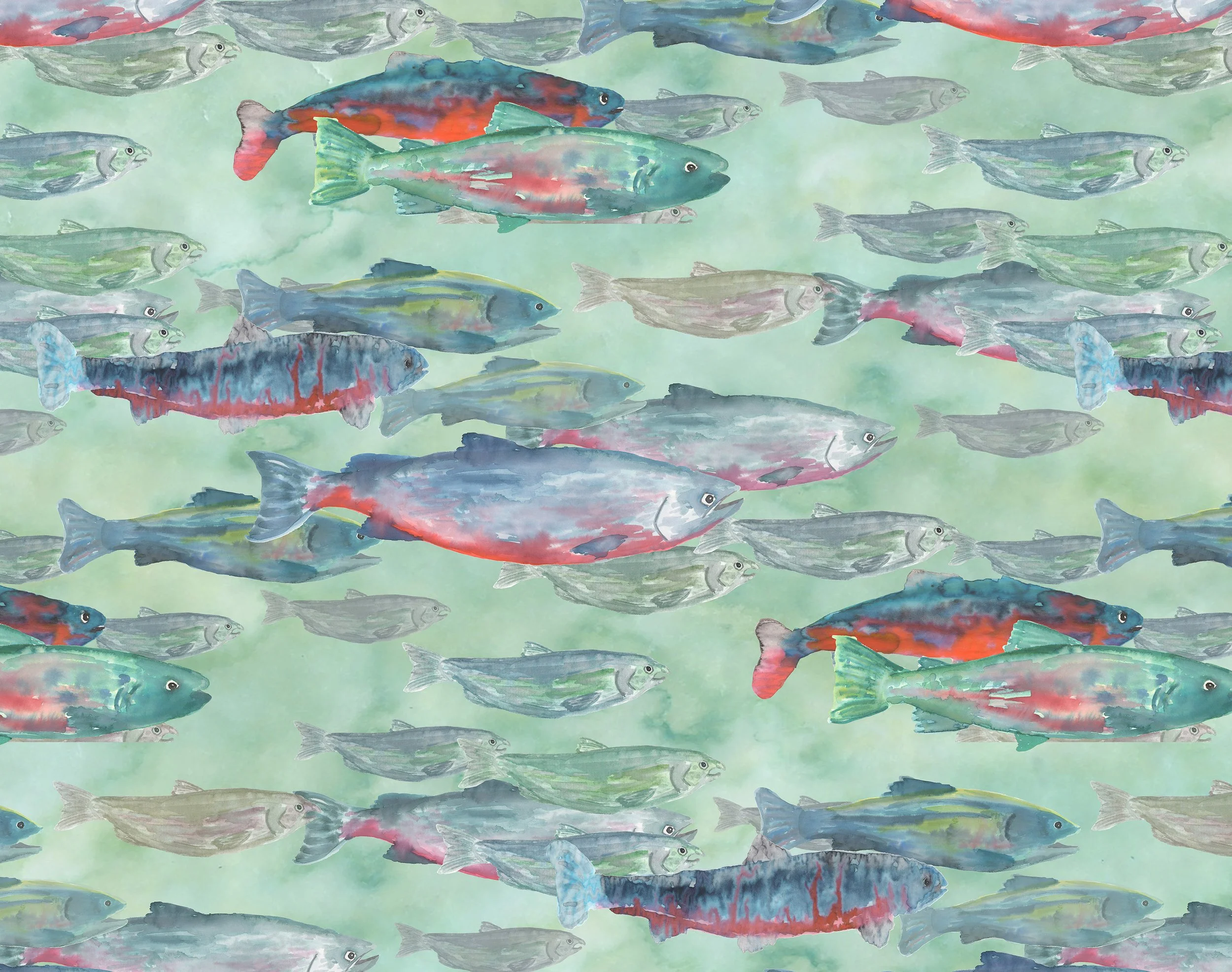 salmon 10%22 x 8%22.jpg