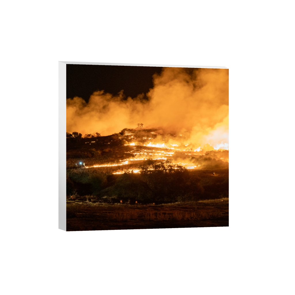 canvas_square_1750_0_5304_5304_0_false_ffffff_0_0.png