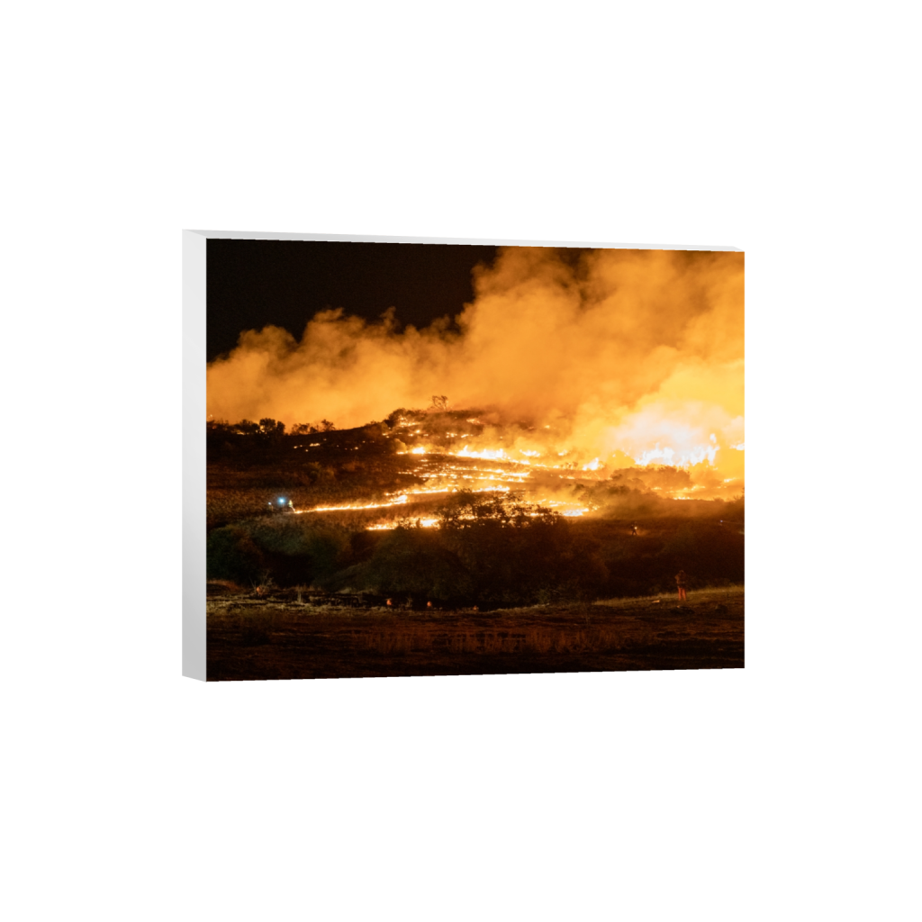 canvas_rectangle4_5_1322_0_6630_5304_0_false_ffffff_0_0.png