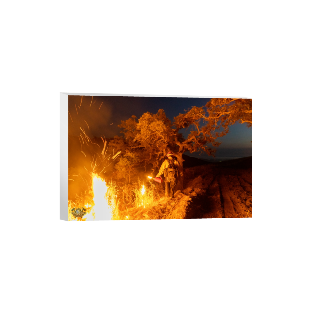 canvas_rectangle2_3_0_29_7952_5301_0_false_ffffff_0_0.png