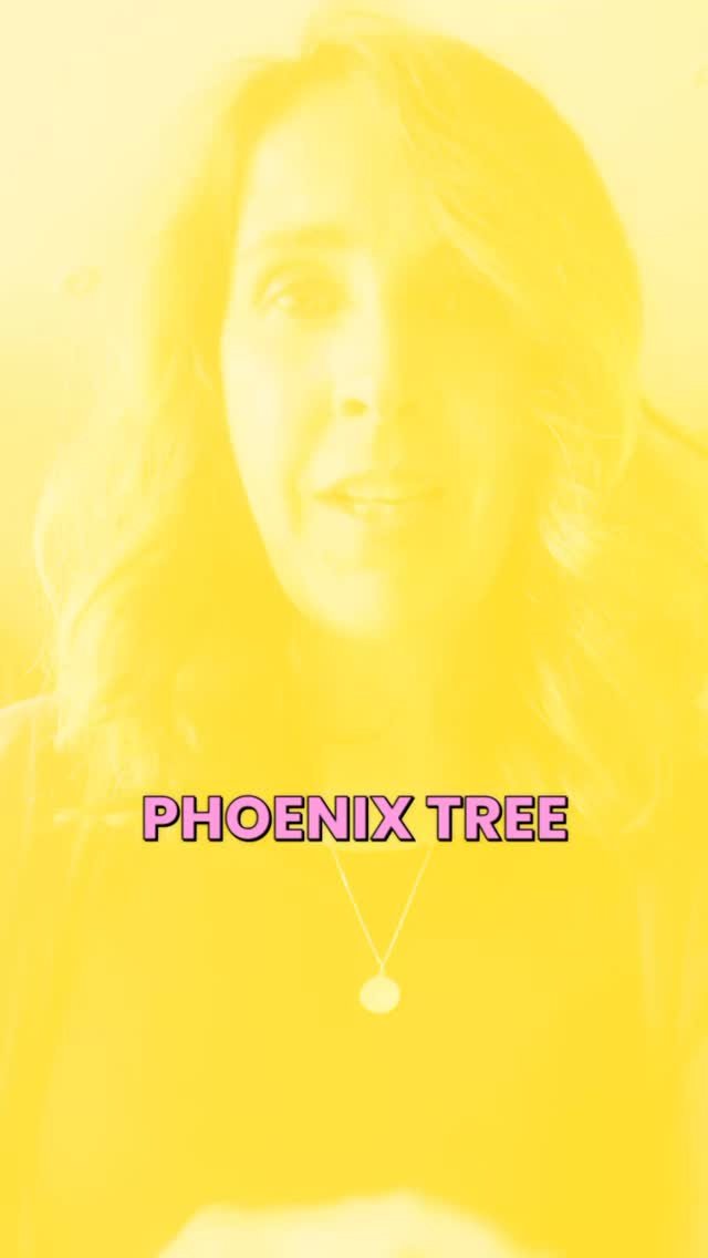 “Just 2 more sleeps until something truly special opens its doors in Highbridge…”
The Phoenix Tree Fertility Centre officially opens at 9am this Thursday, 1st May.
This is more than just a clinic – it’s a space for he