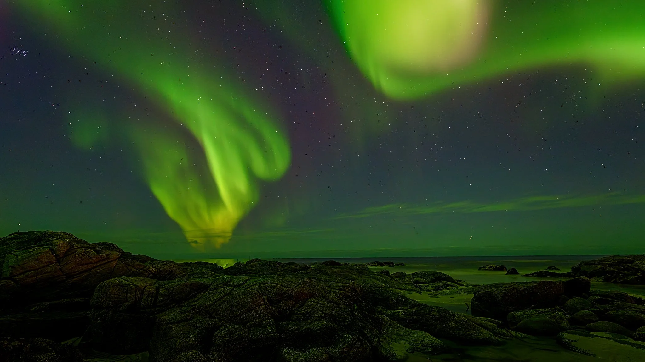 _DSF0993-DxO_DeepPRIME 3_openWith_DxO.jpg