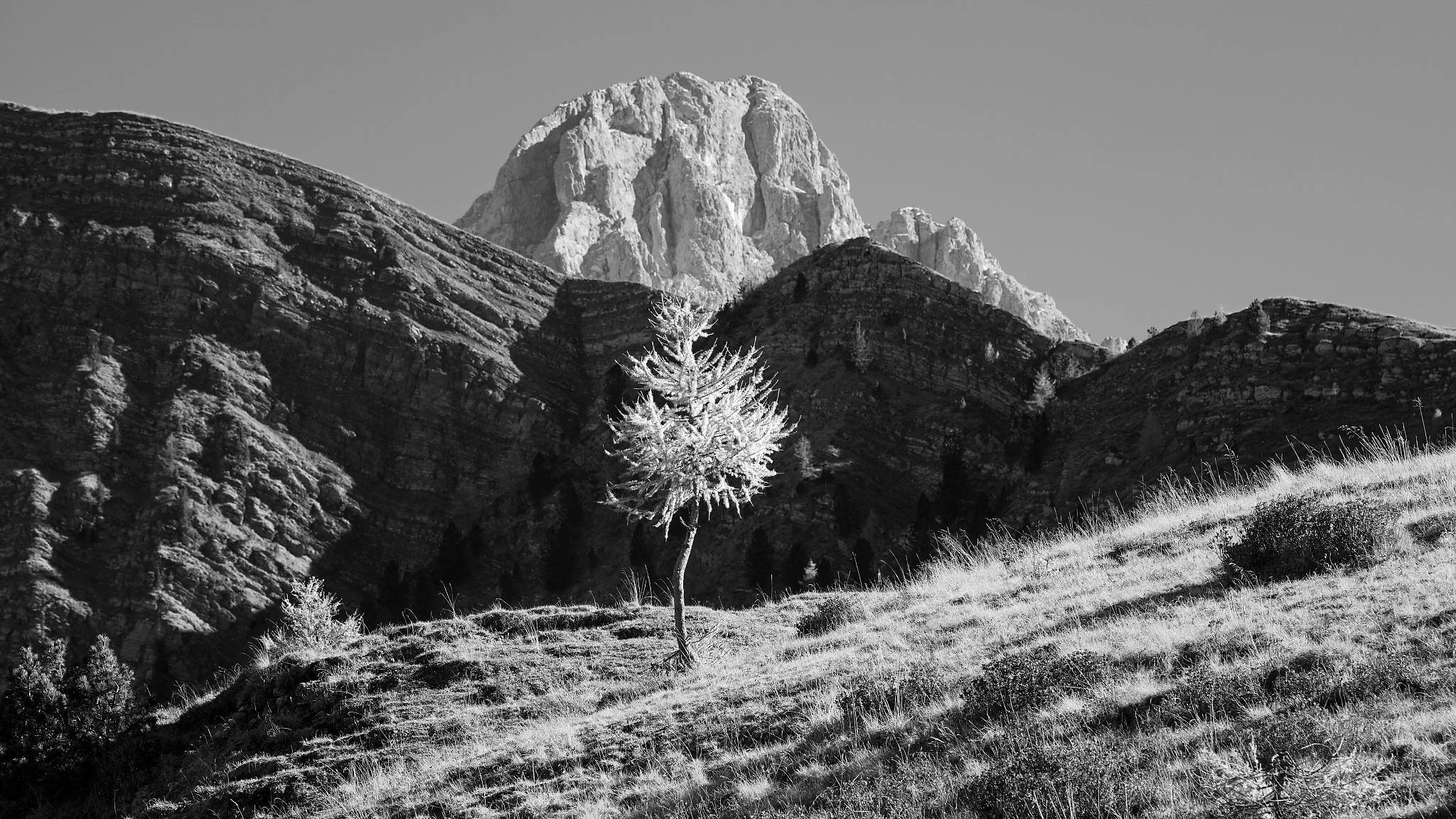 _DSF9766_M_openWith BW_DxO.jpg