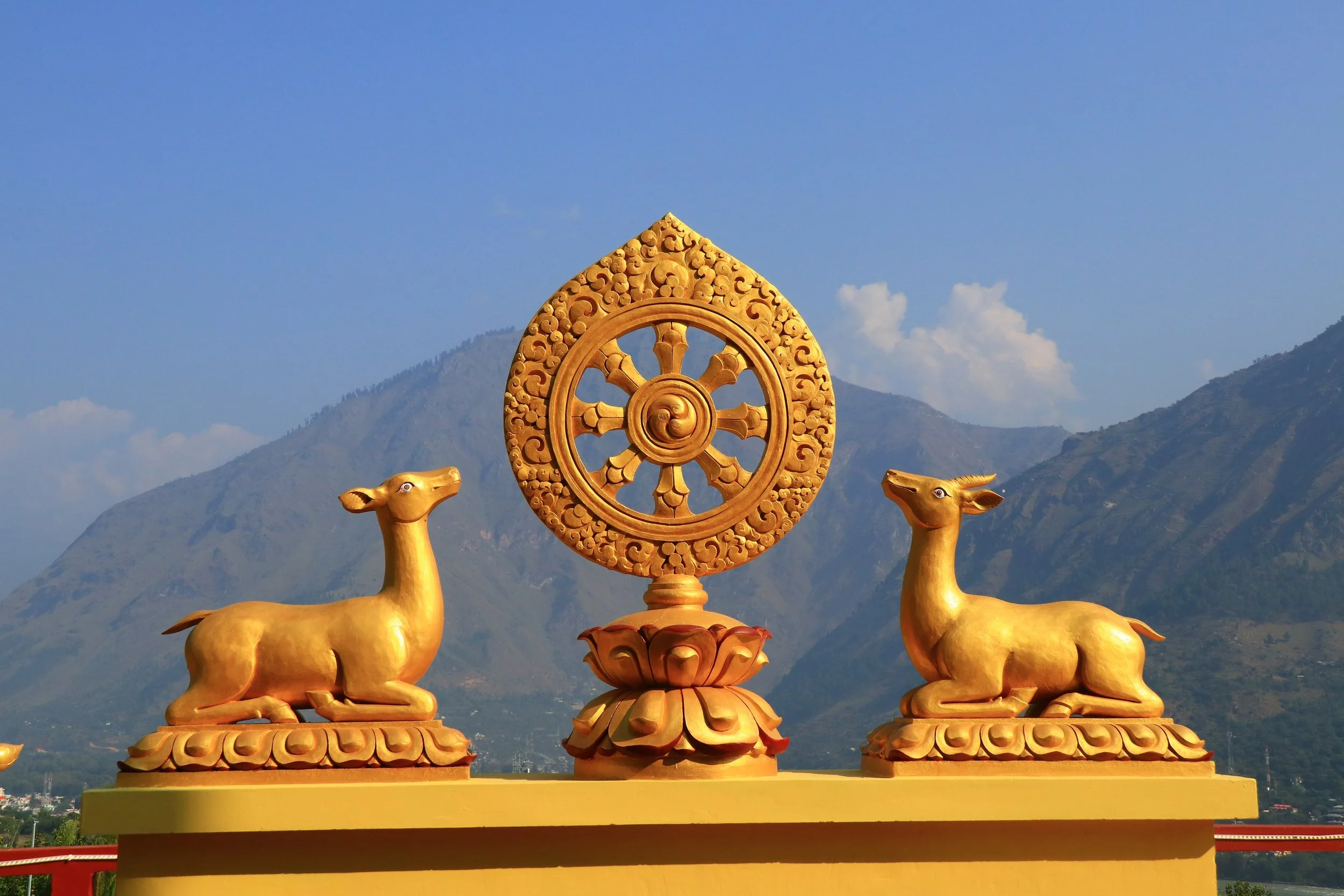 CR Teaching Page Image.jpg