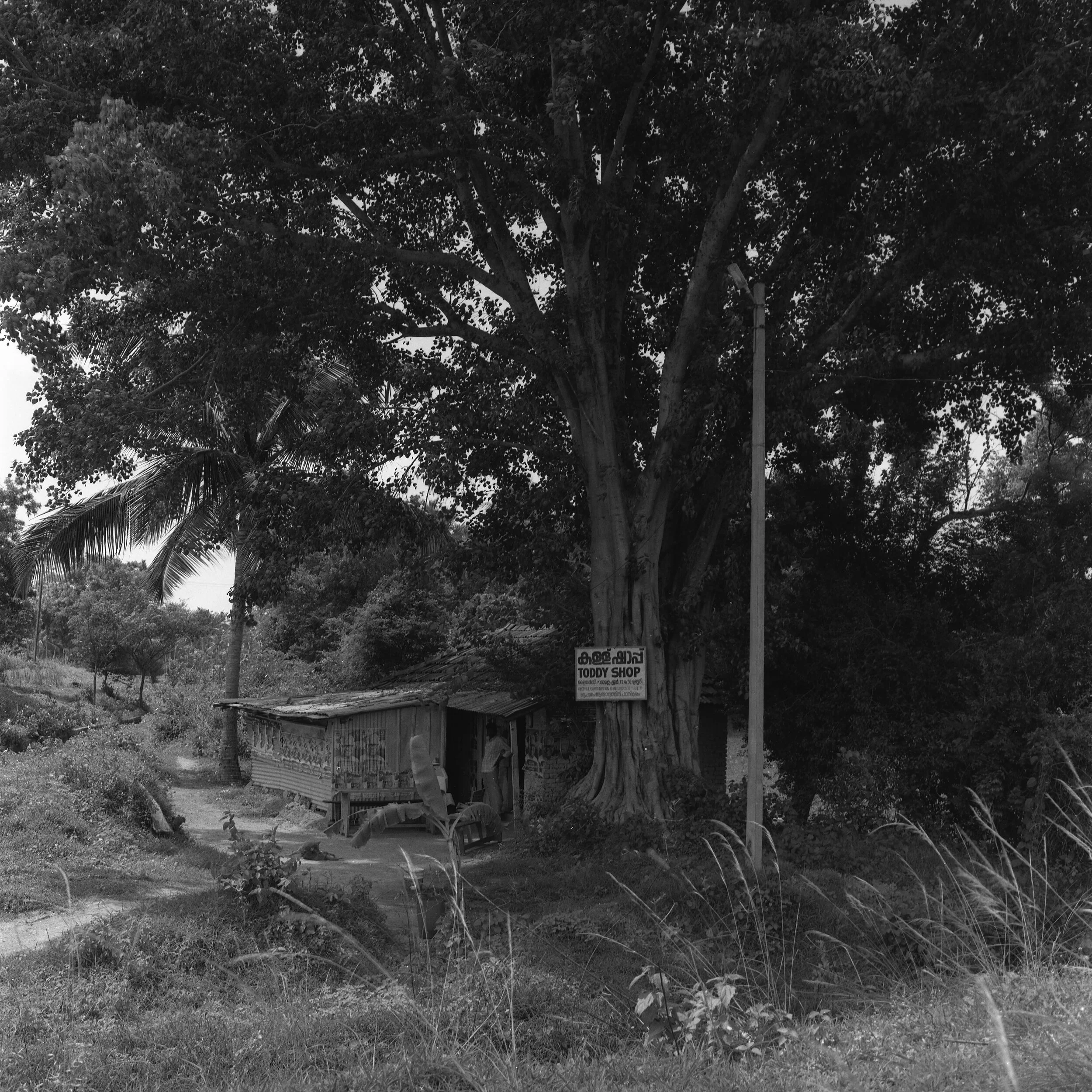 2016_sept_kerala_03_002 copy.jpg