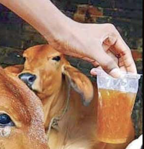 Screenshot 2021-04-18 at 12.47.16 PM.png